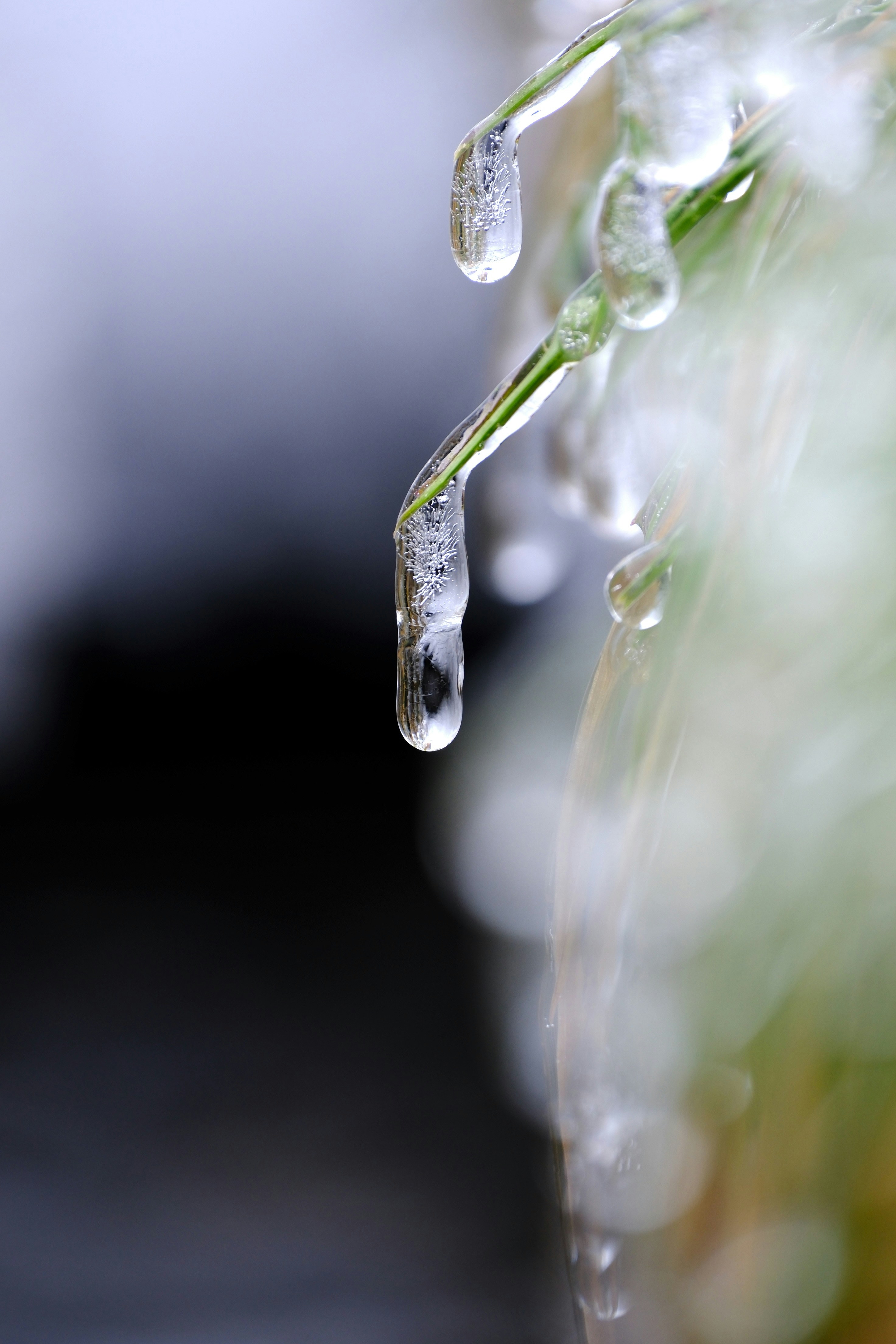 Photo by seiya_maeda