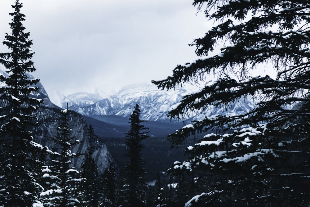 a view of a snowy mountain range from a distance