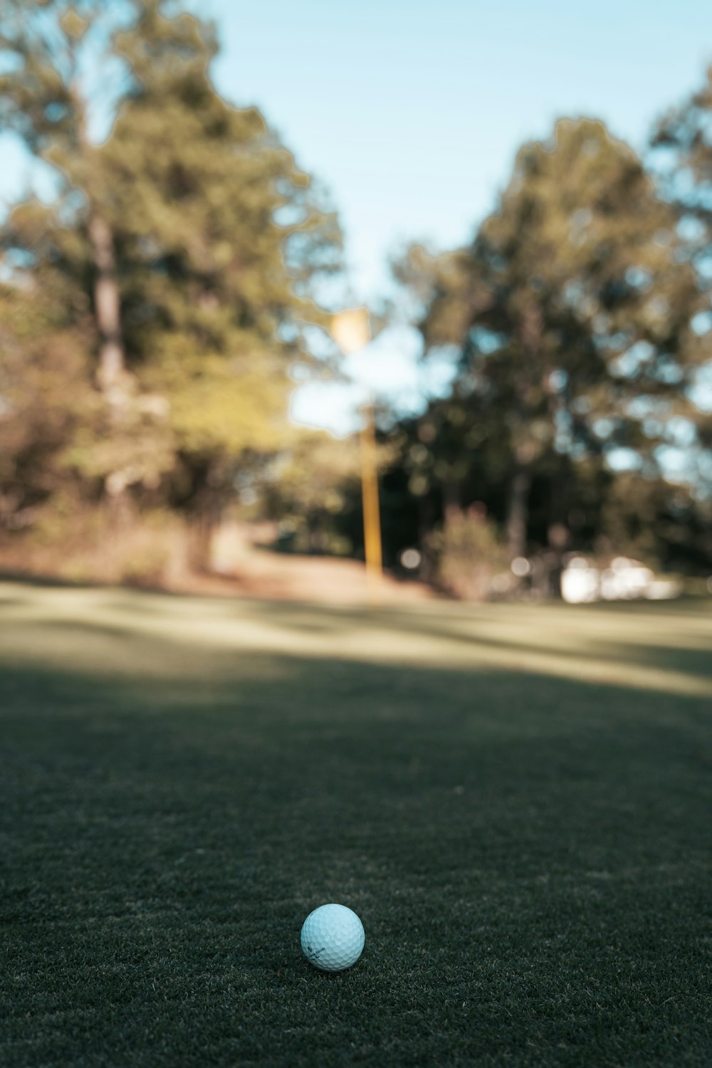 a white golf ball sitting on top of a lush green field