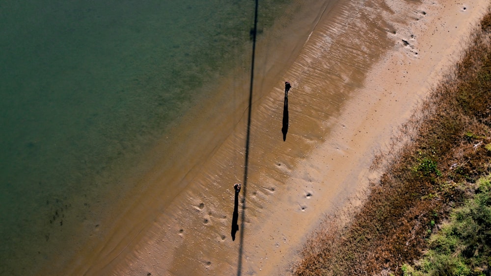 two poles sticking out of the water near a beach