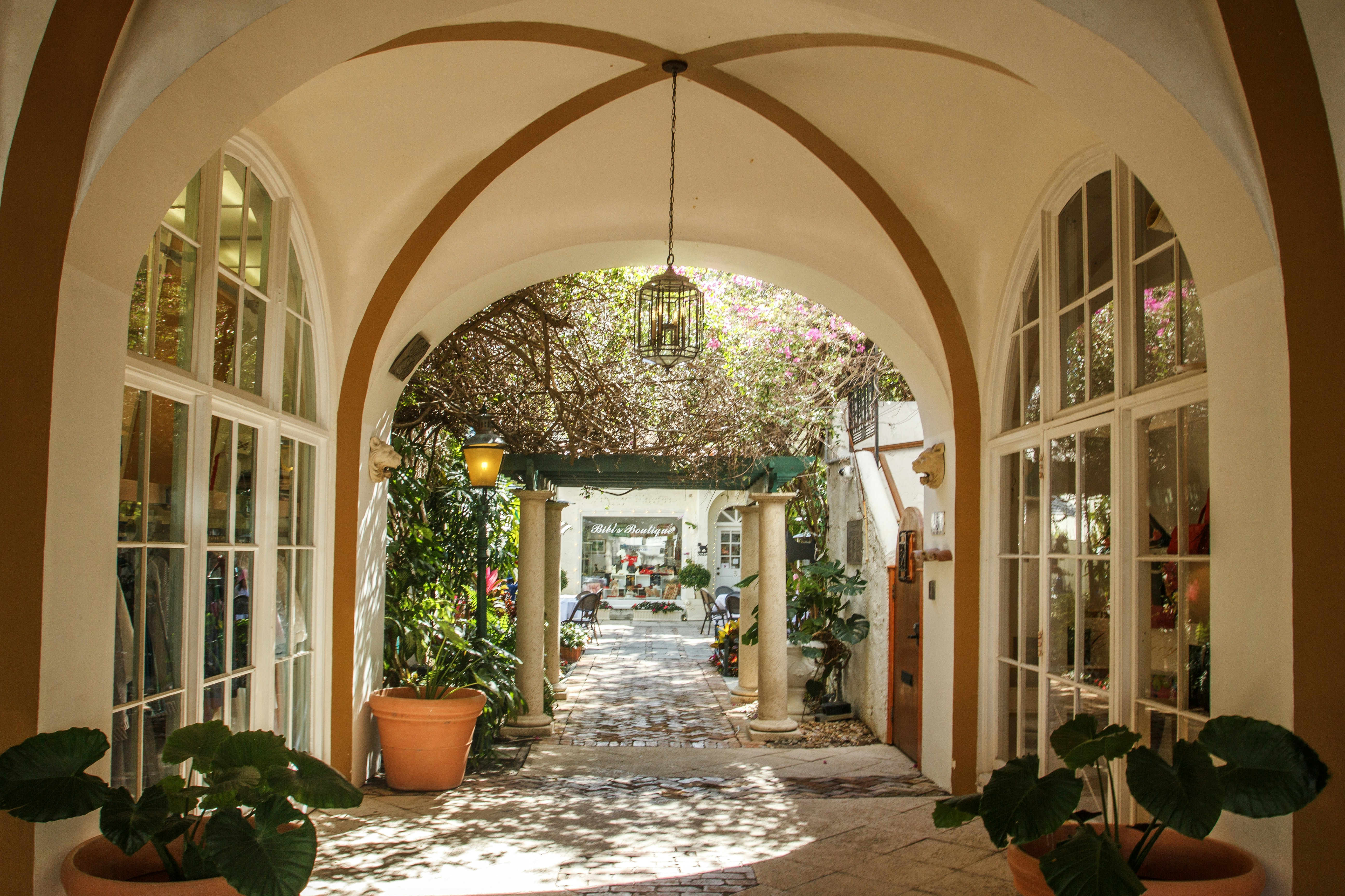 Photo by hectorfalcon