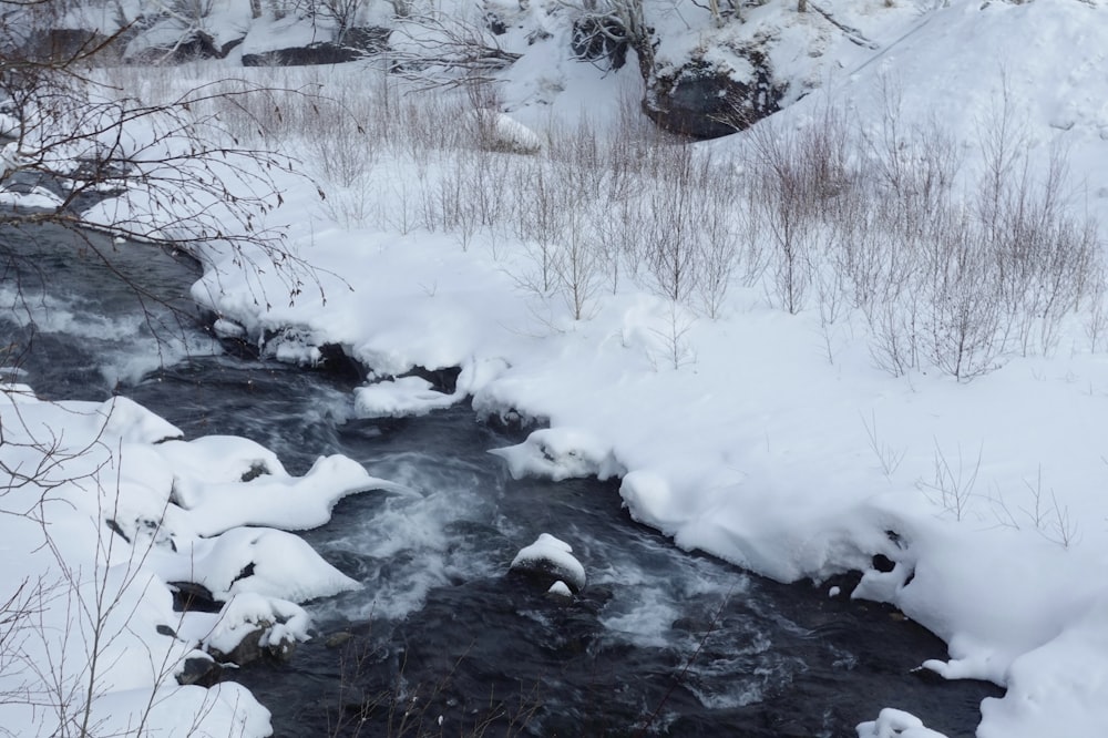 un arroyo que corre a través de un bosque cubierto de nieve