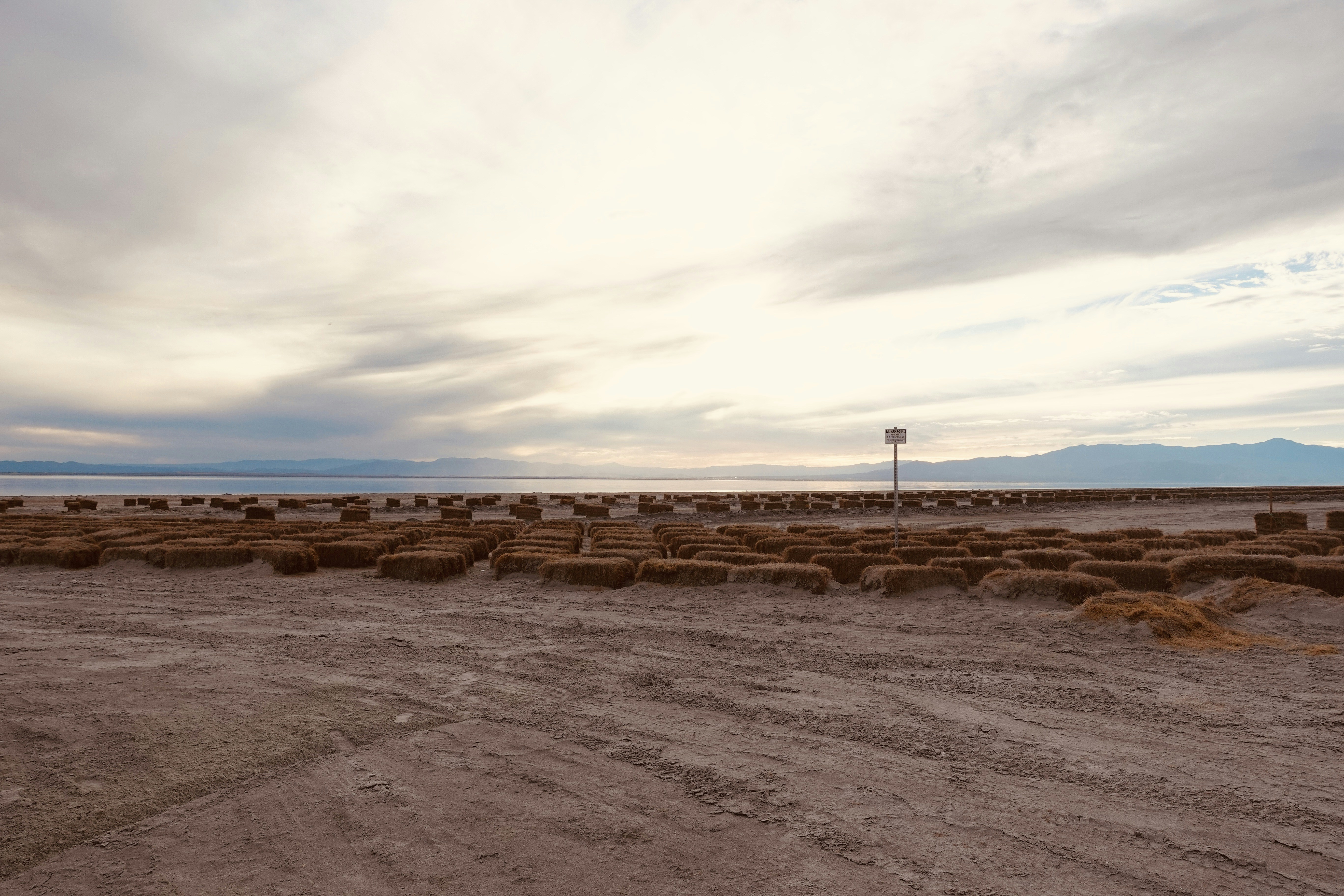 Photo by mi_desertlife