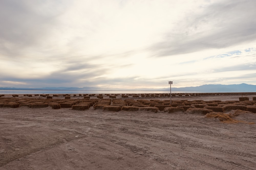 a large field of hay sitting on top of a dirt field