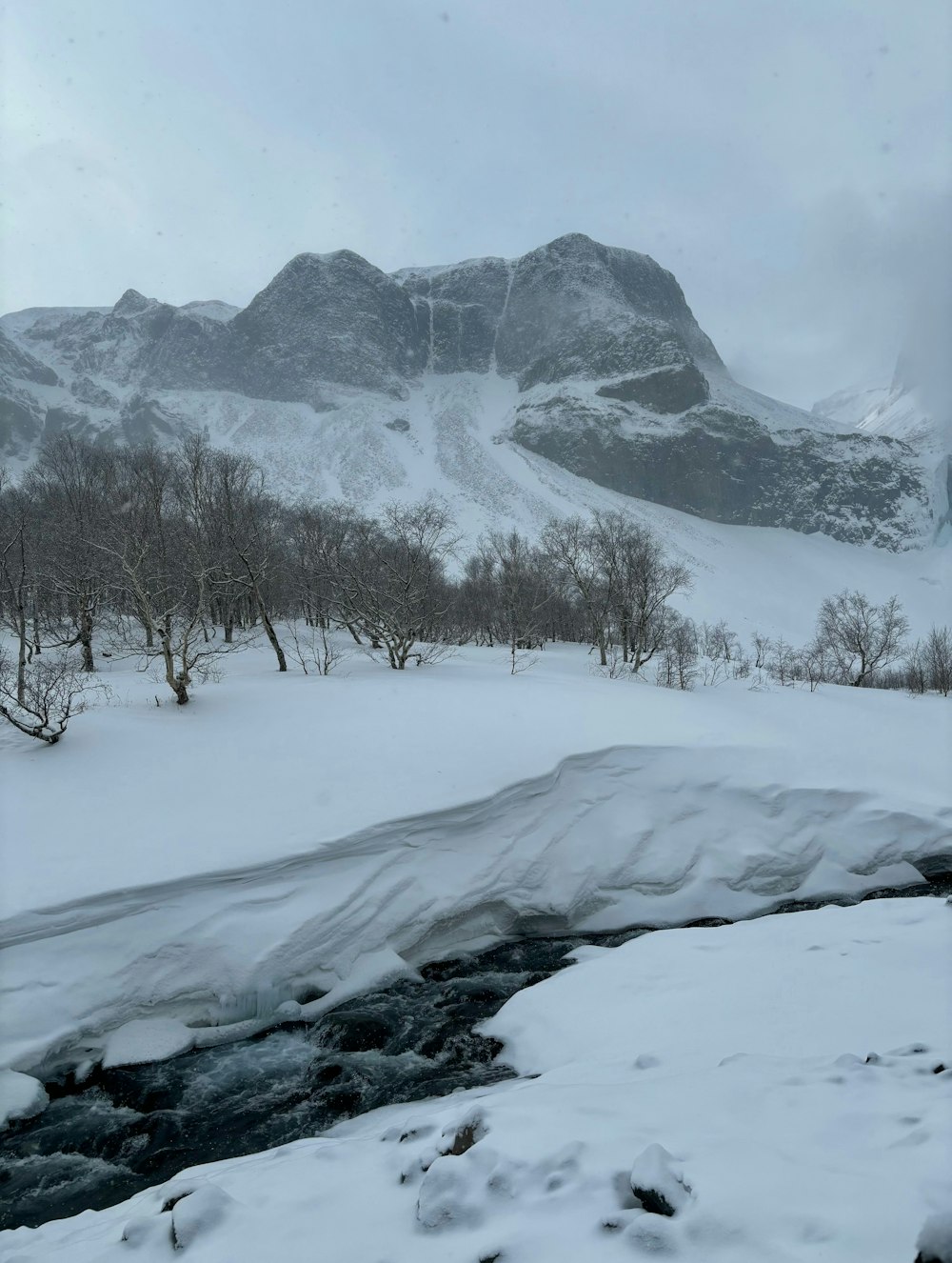 um riacho que atravessa uma floresta coberta de neve