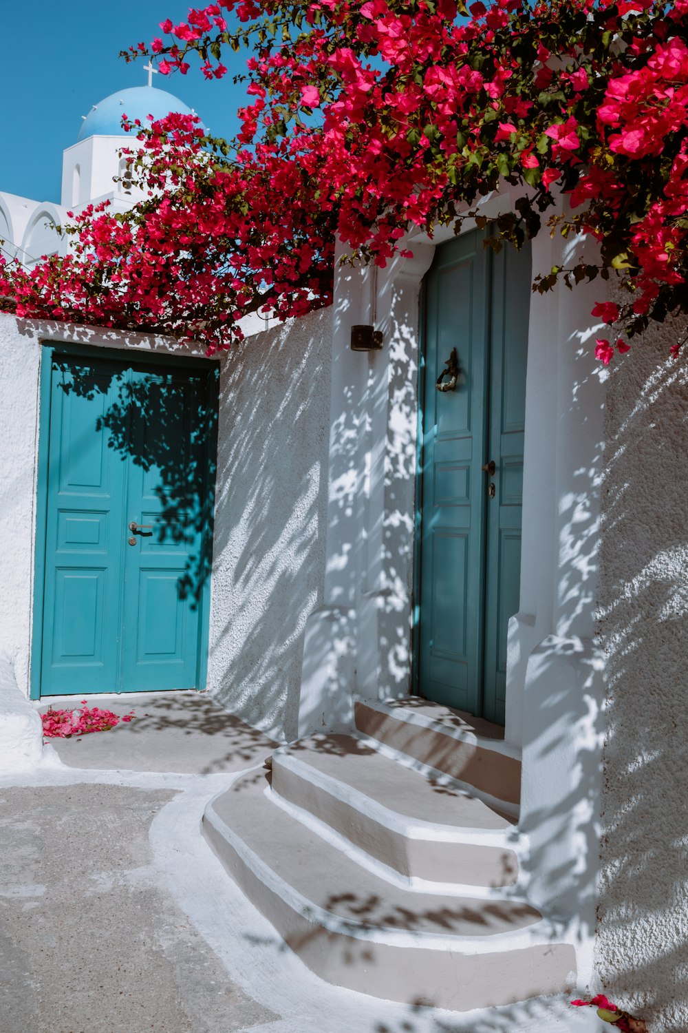 a house with a blue door and a green door