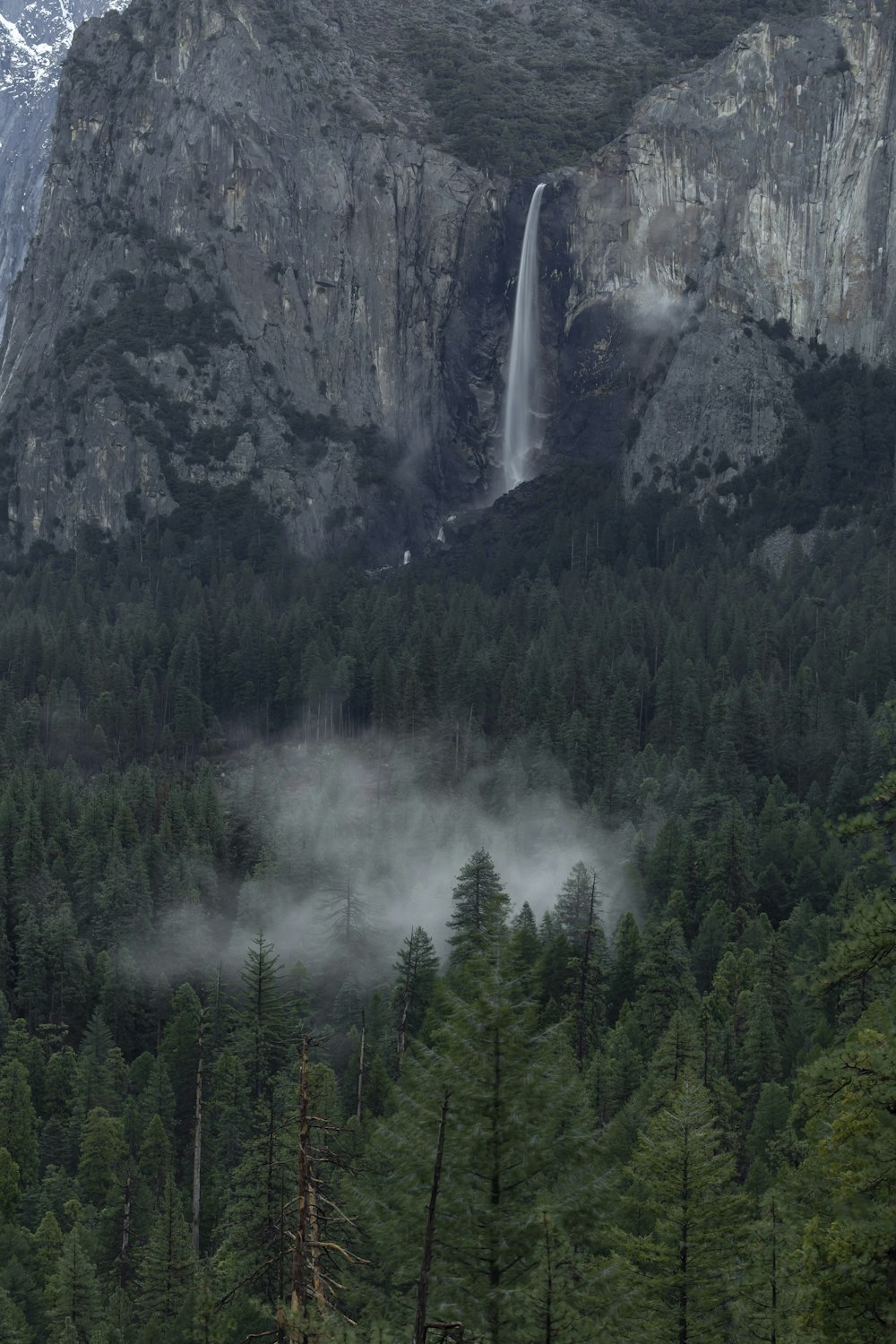 a waterfall in the middle of a forest