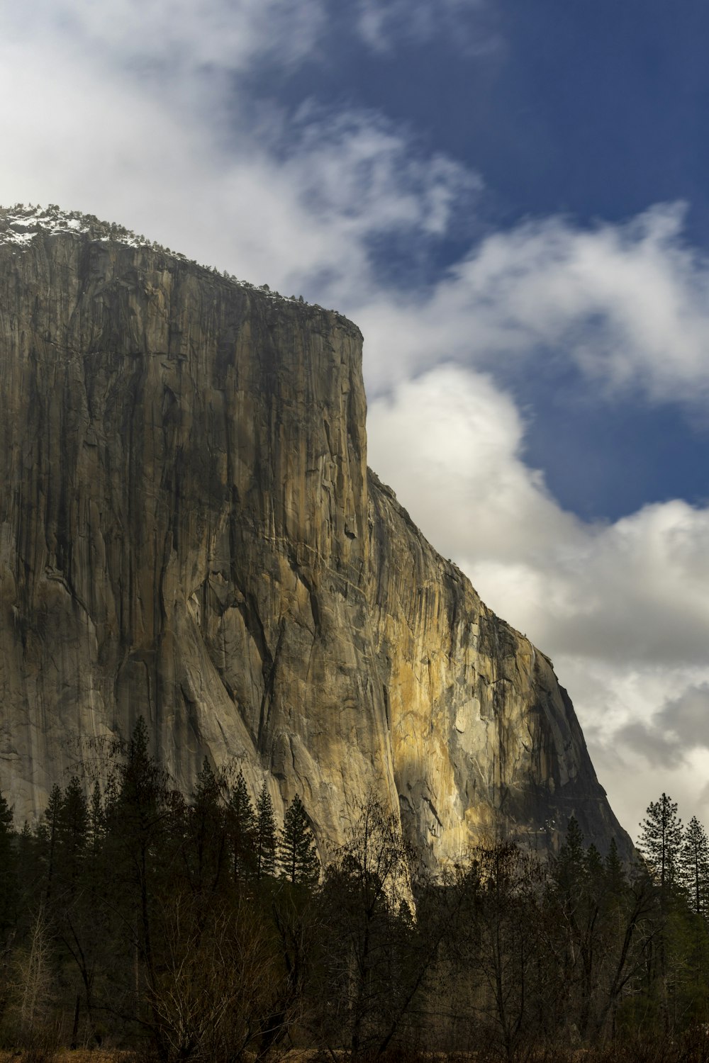 a tall mountain with a forest below it