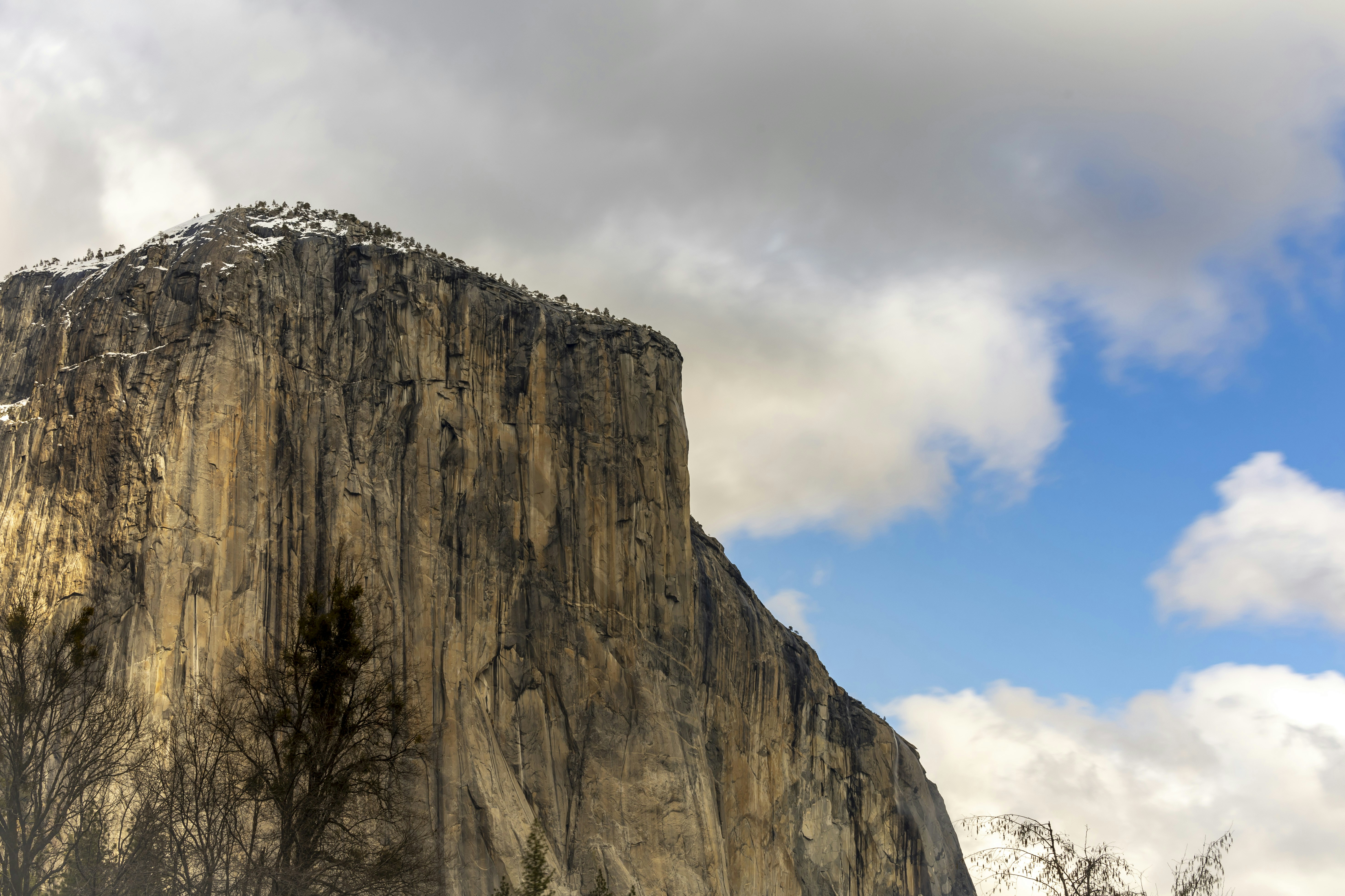 Photo by leo_visions_