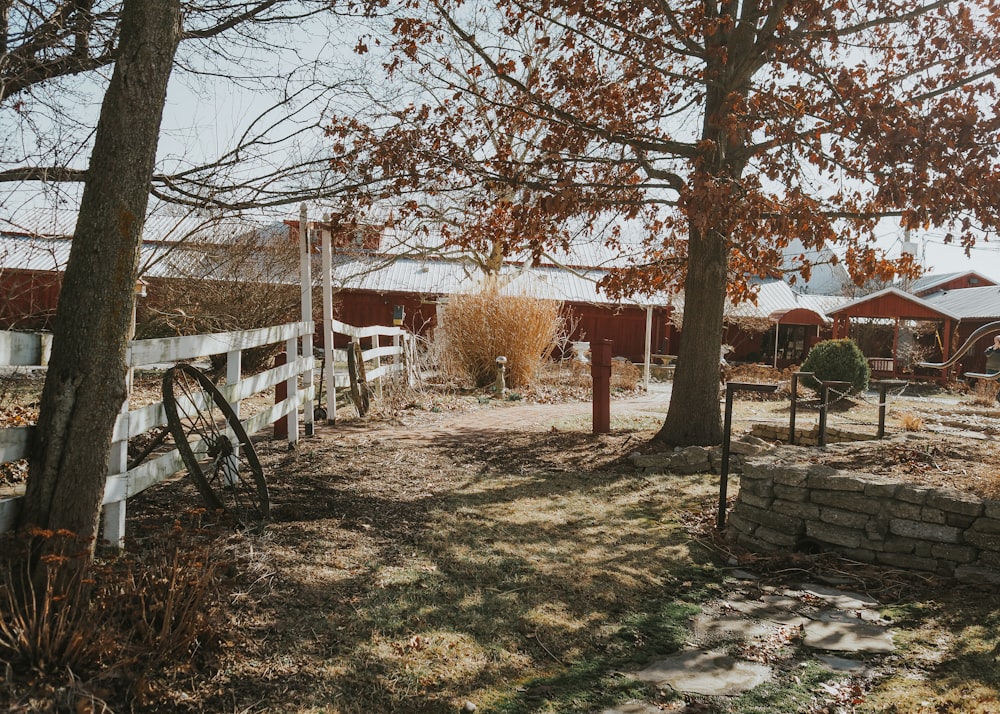 a fenced in area with a bike leaning against a tree