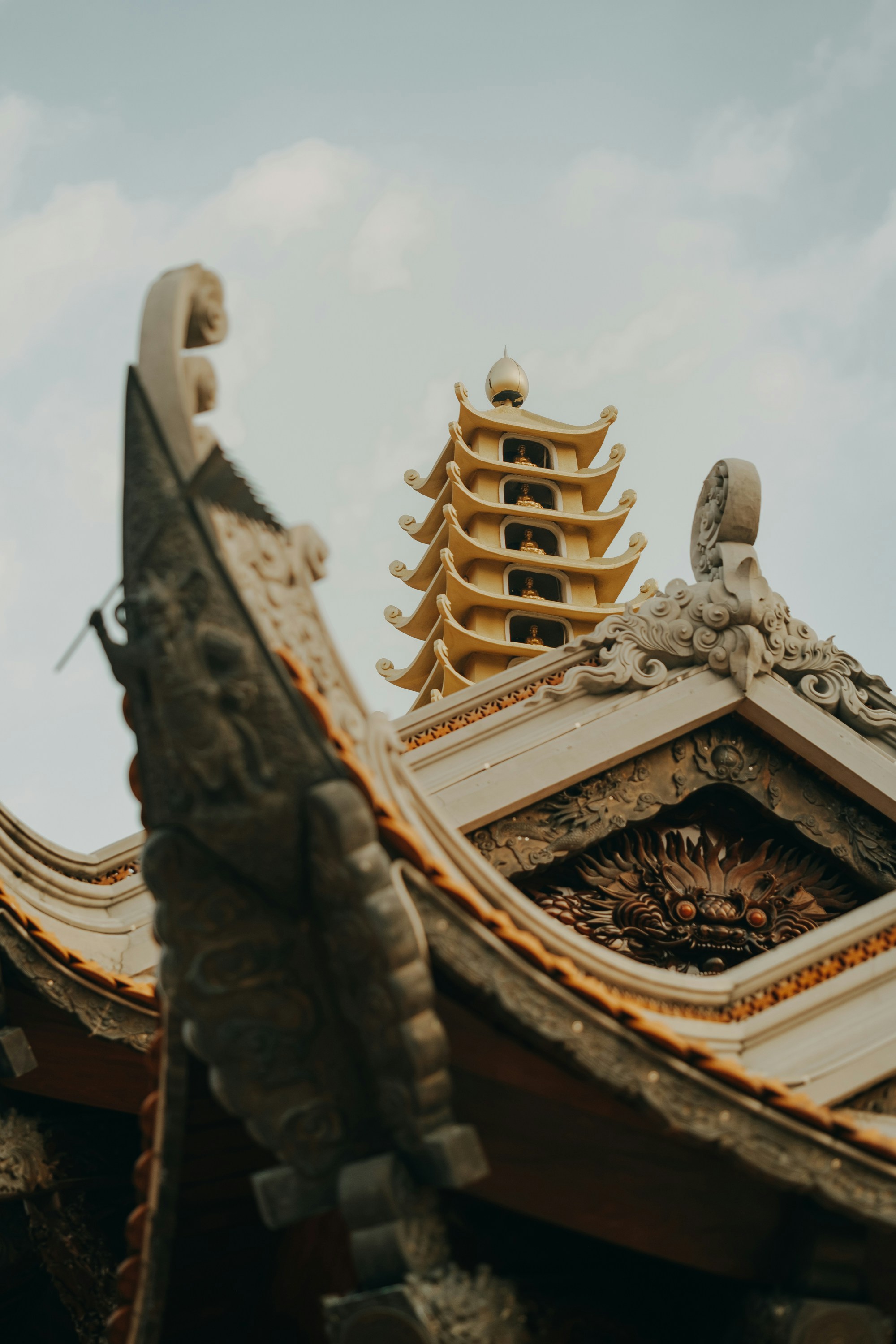 Photo by nguyentrungnguyen