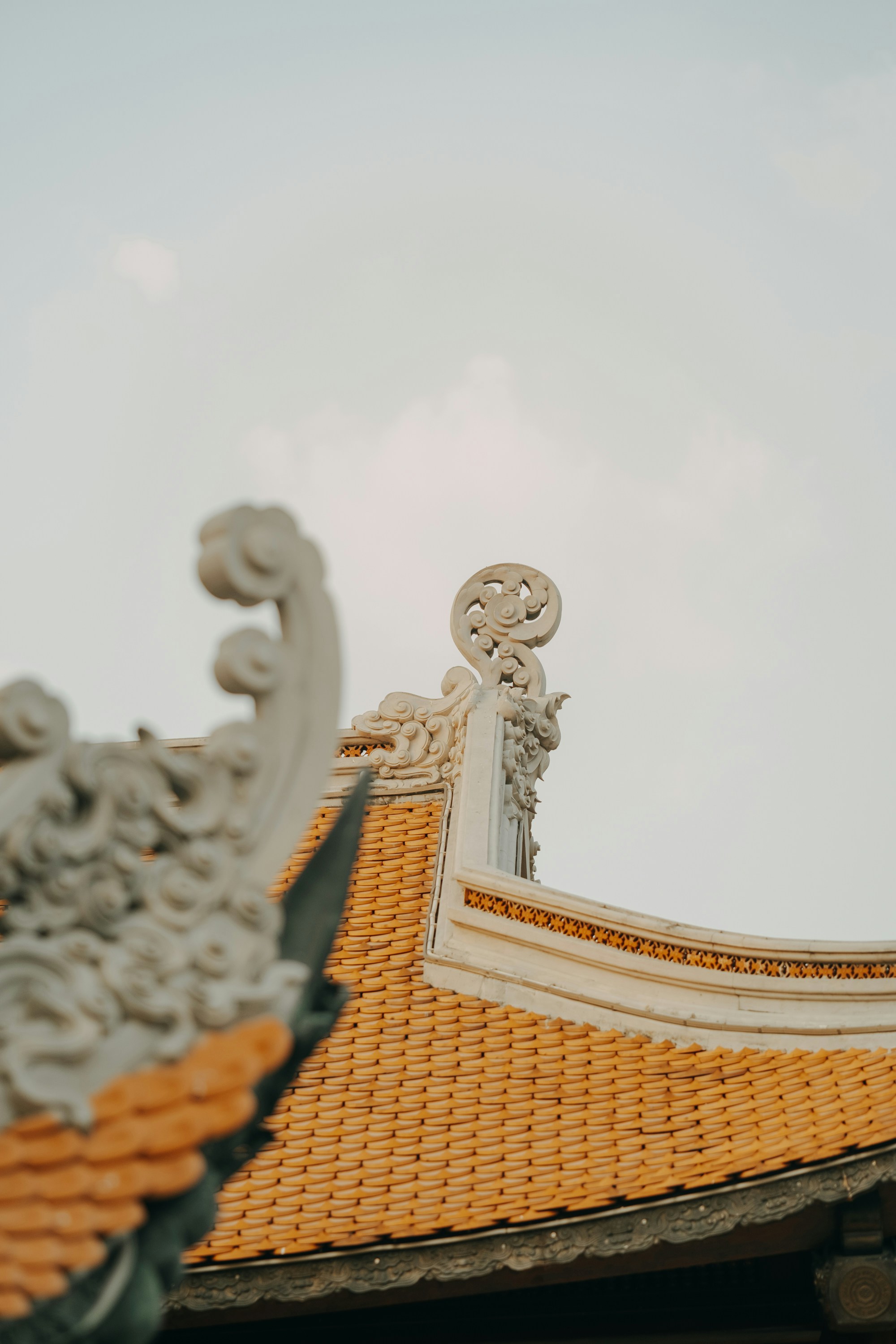 Photo by nguyentrungnguyen