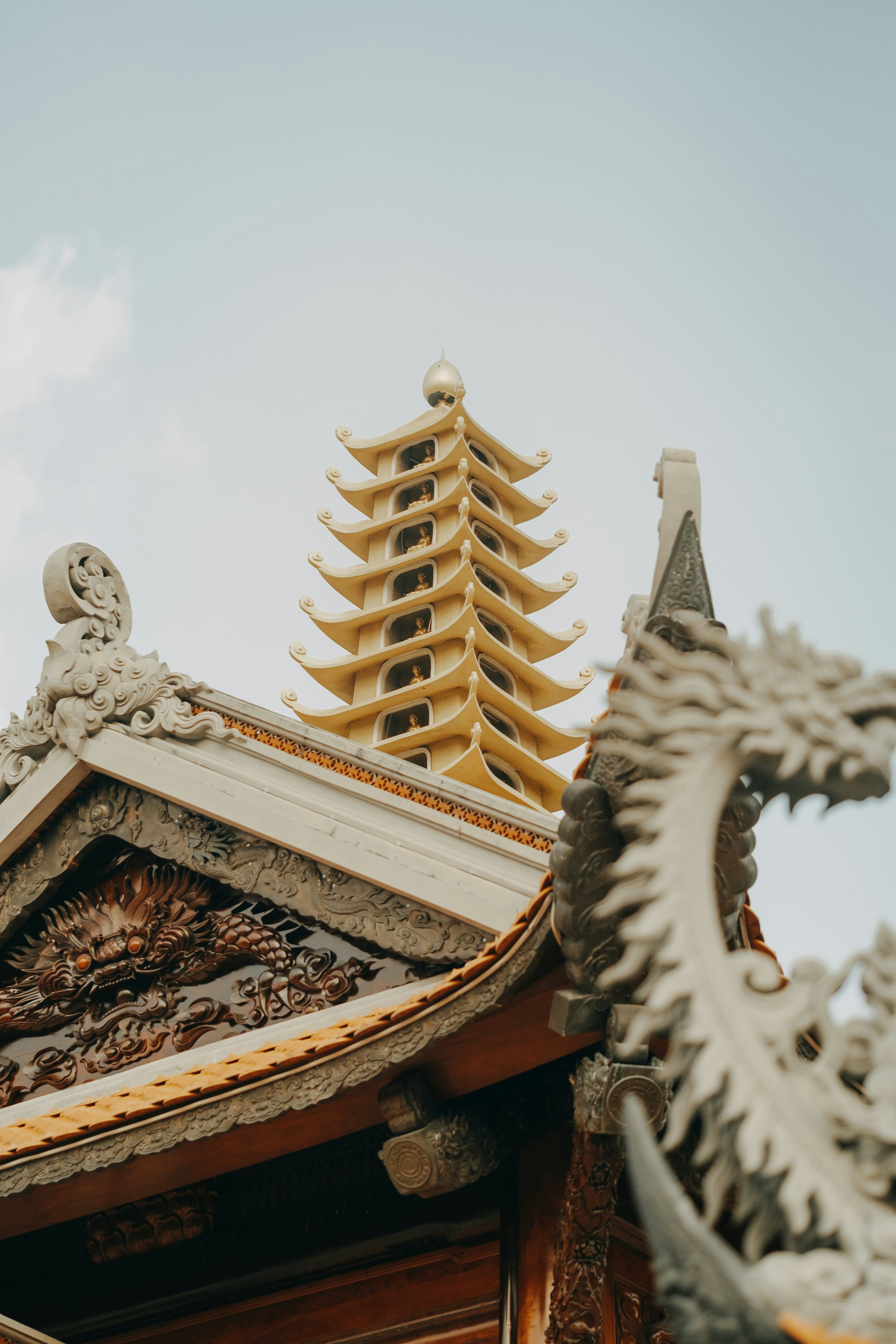 Photo by nguyentrungnguyen