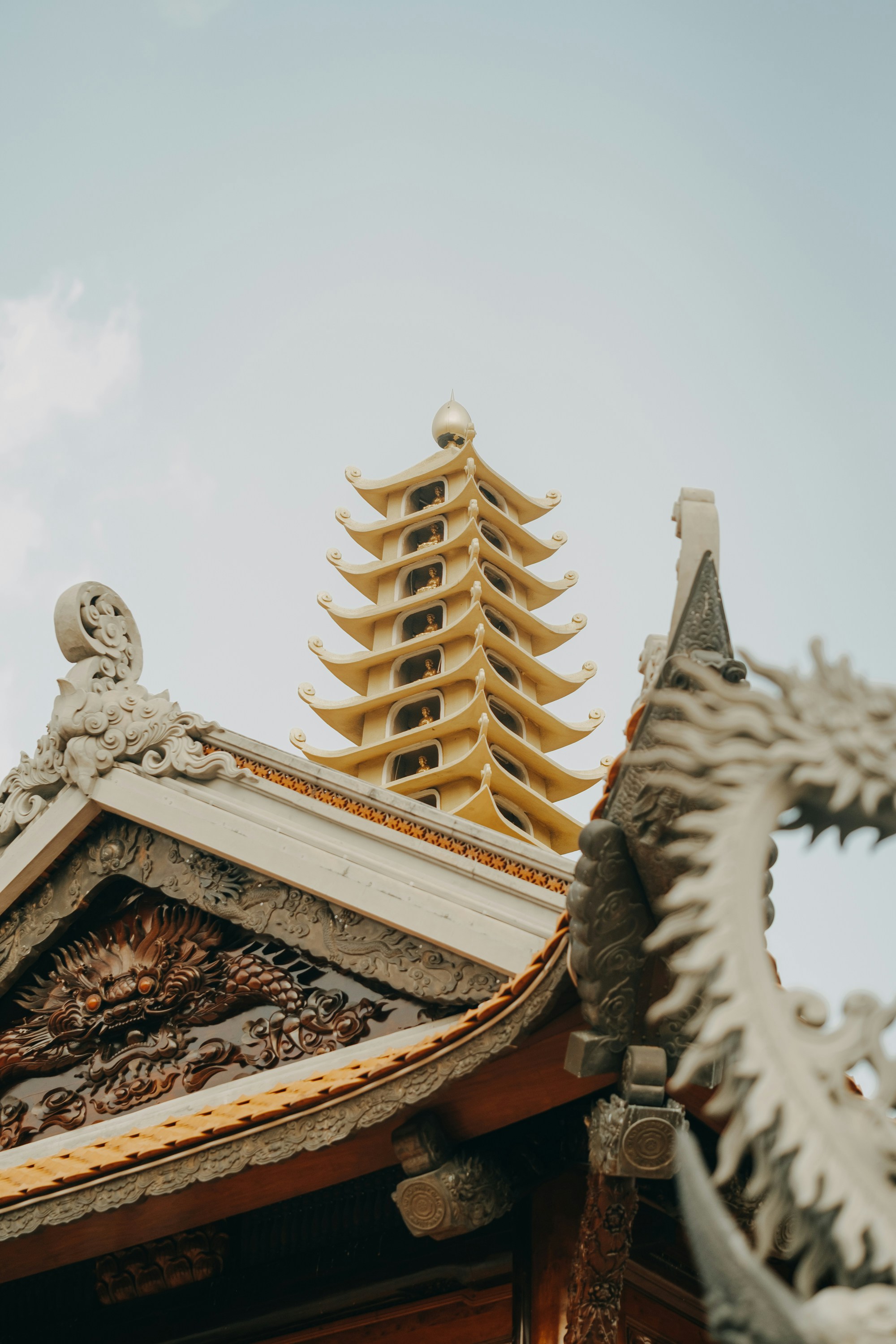 Photo by nguyentrungnguyen