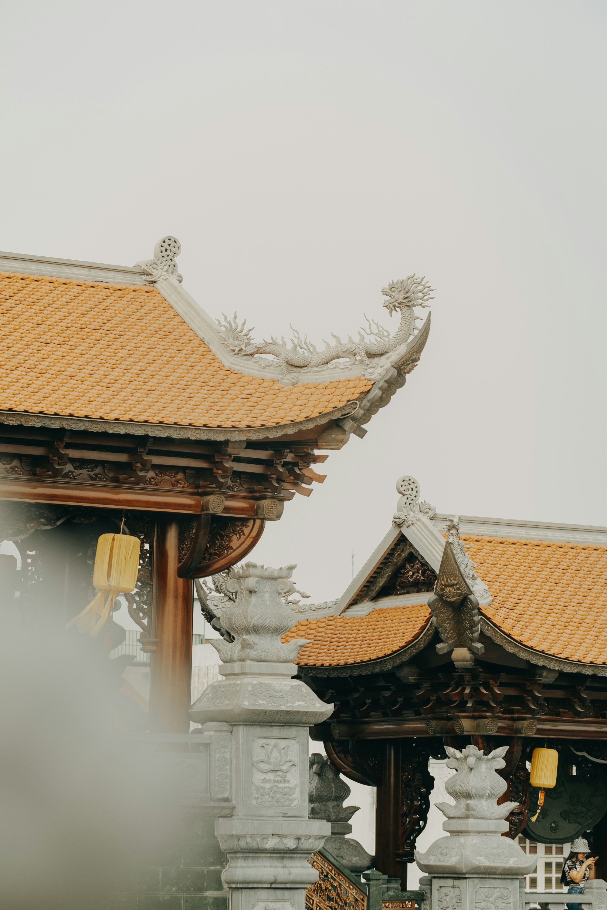 Photo by nguyentrungnguyen