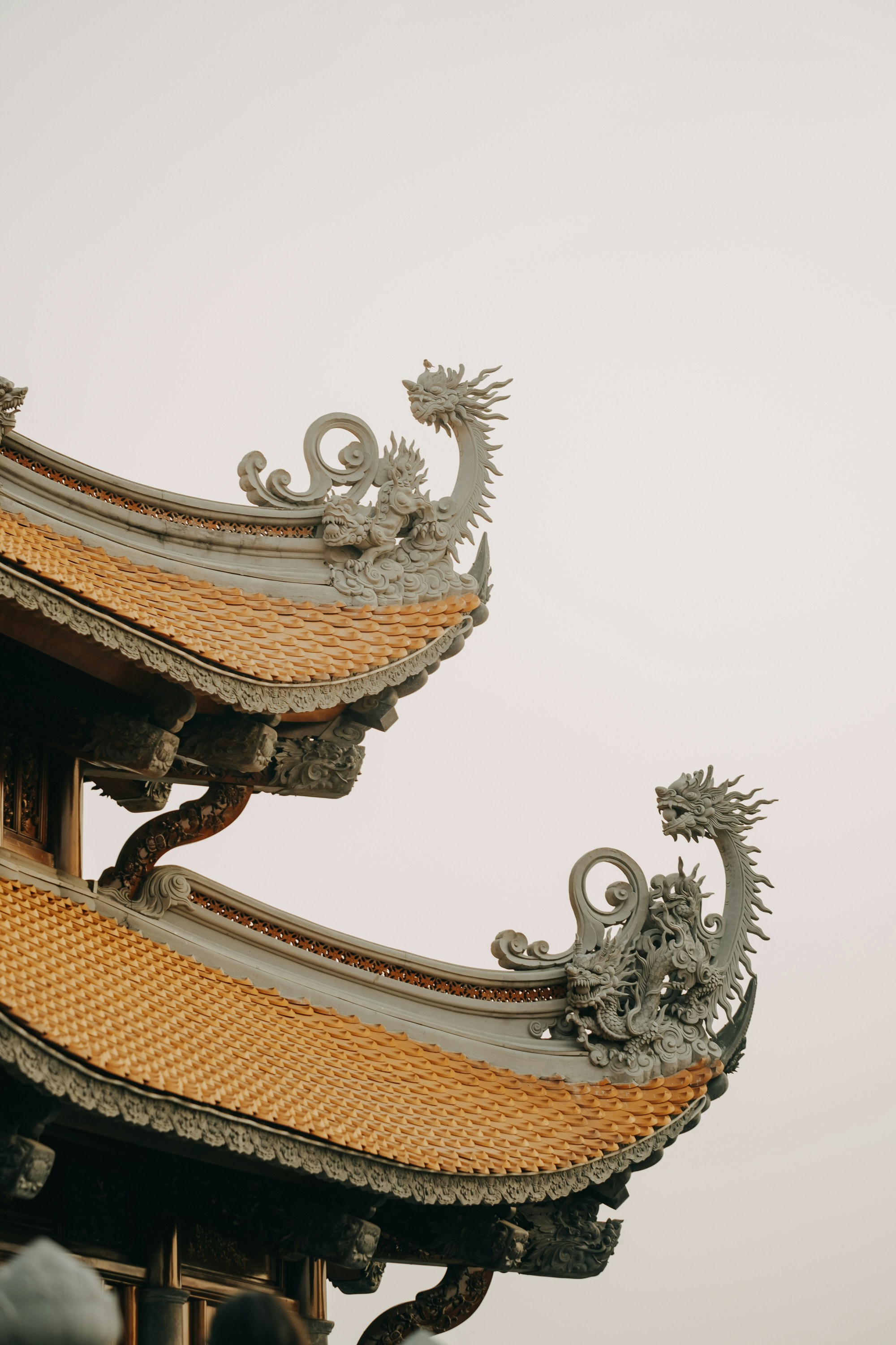 Photo by nguyentrungnguyen