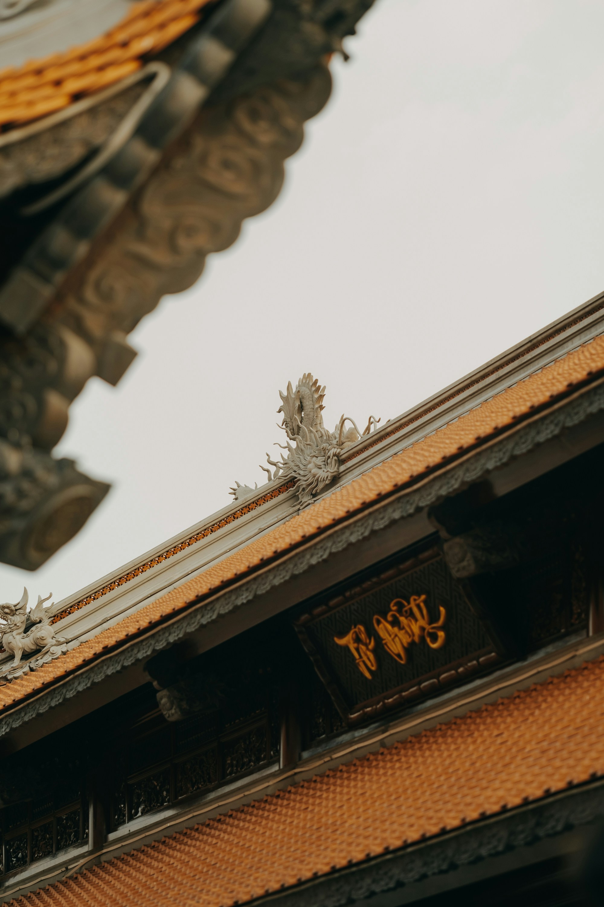 Photo by nguyentrungnguyen