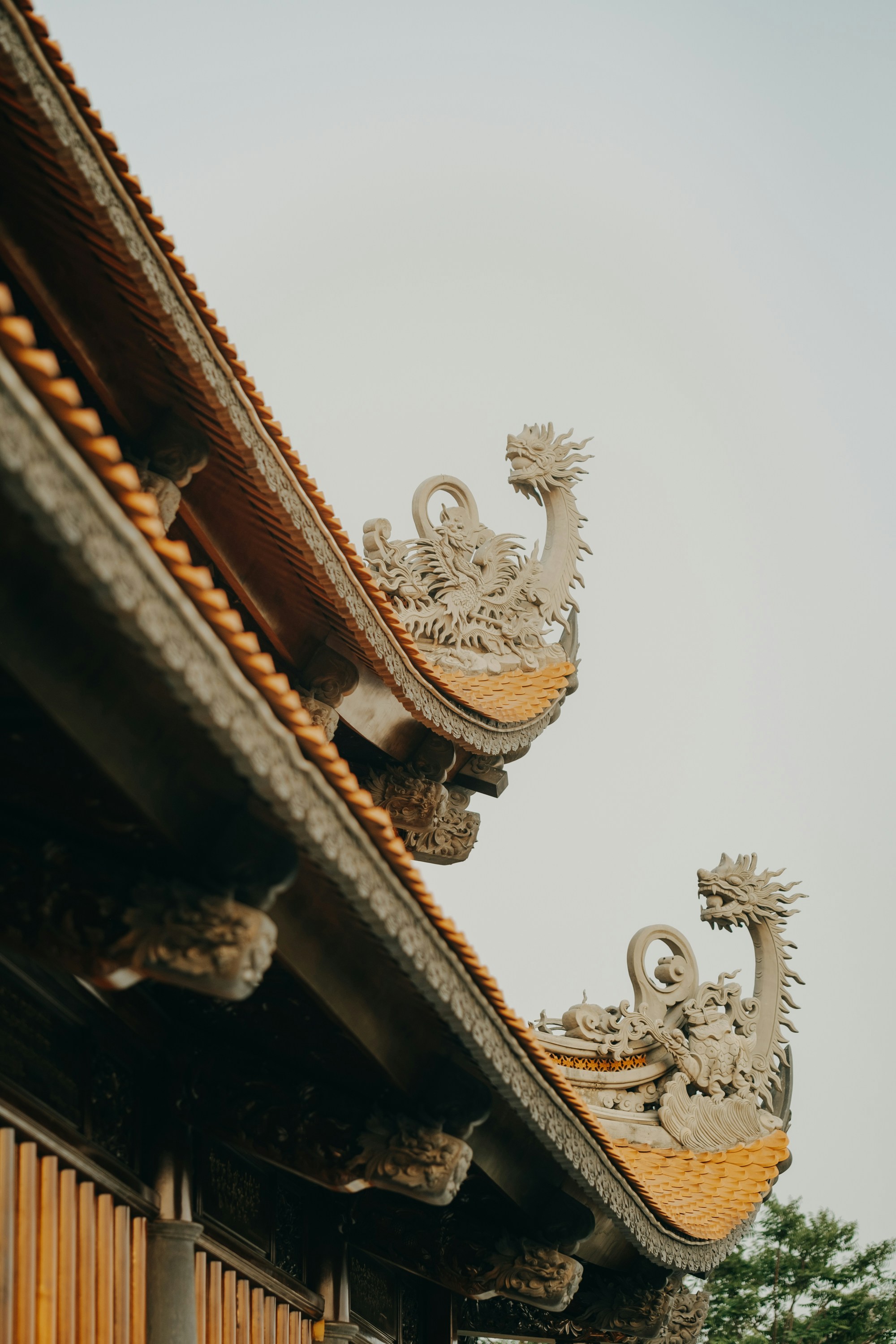 Photo by nguyentrungnguyen