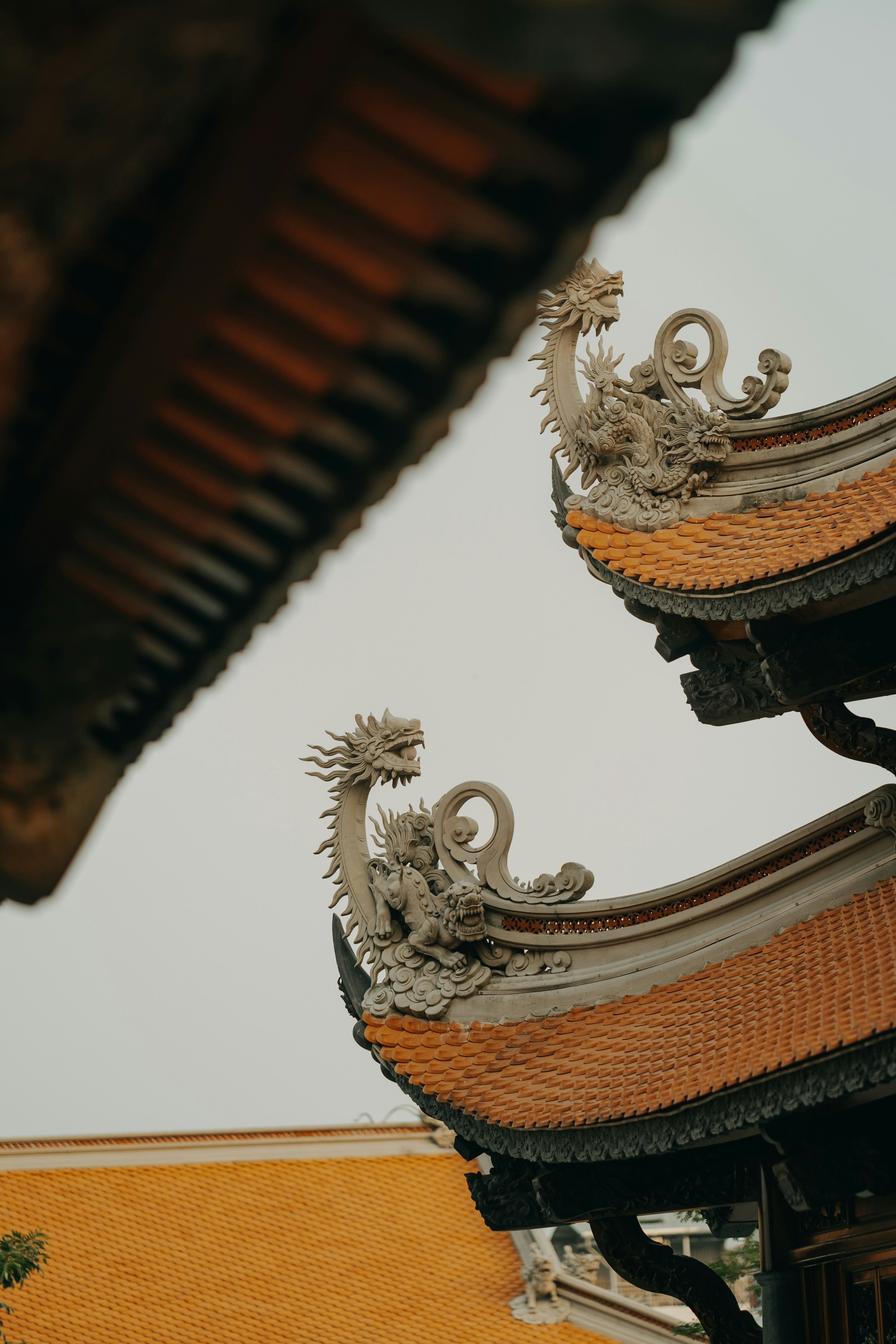 Photo by nguyentrungnguyen