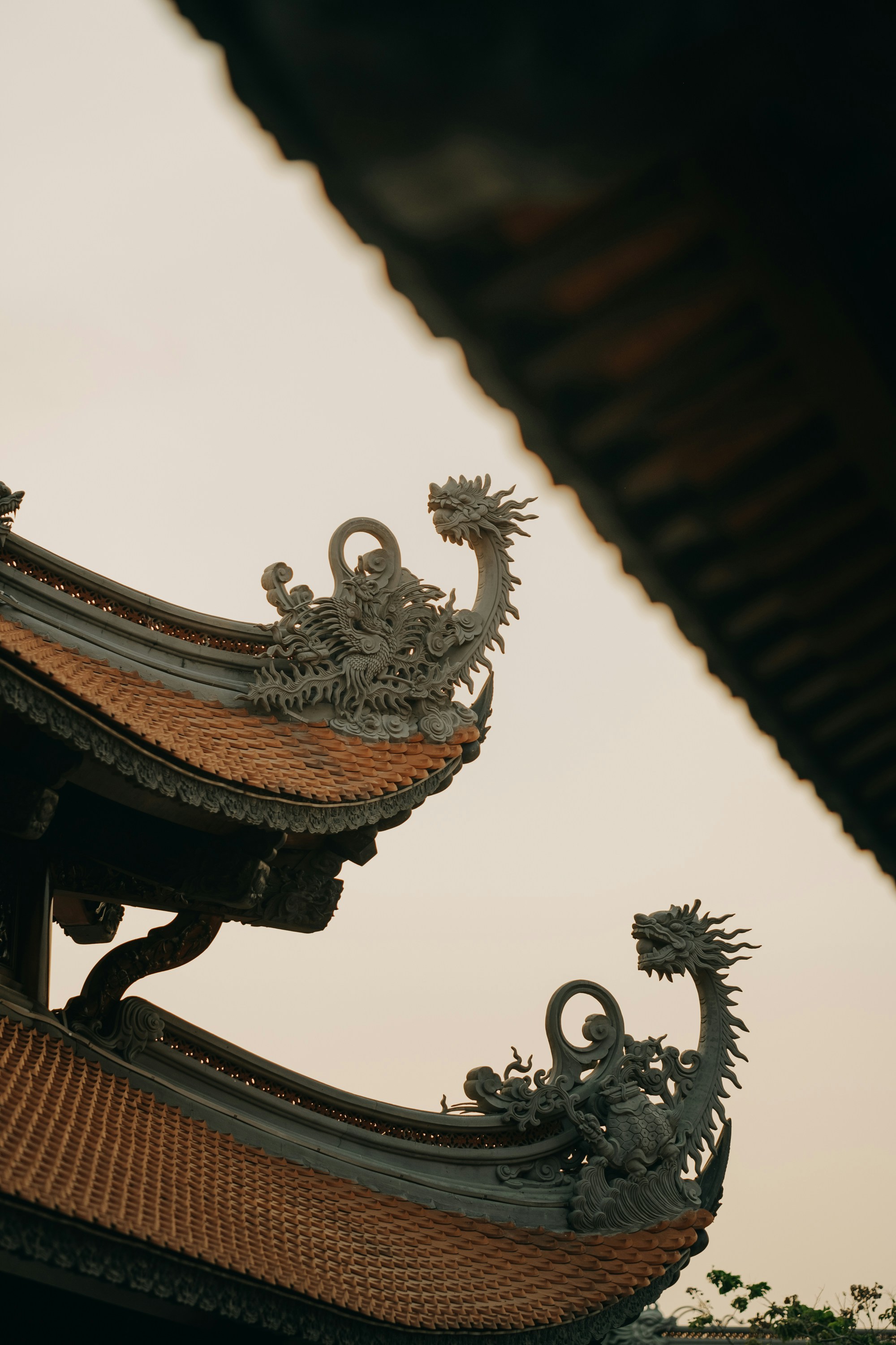 Photo by nguyentrungnguyen