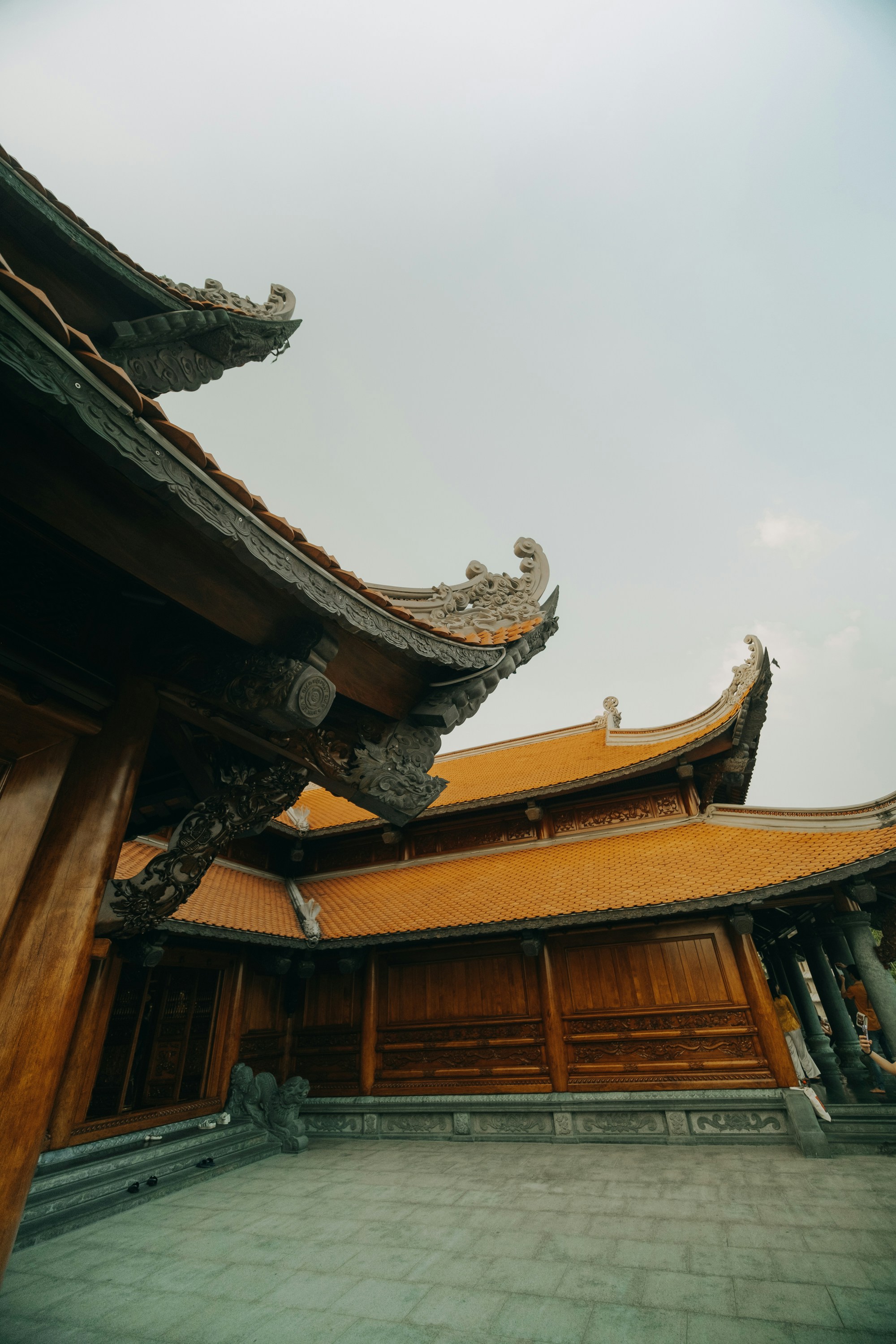 Photo by nguyentrungnguyen