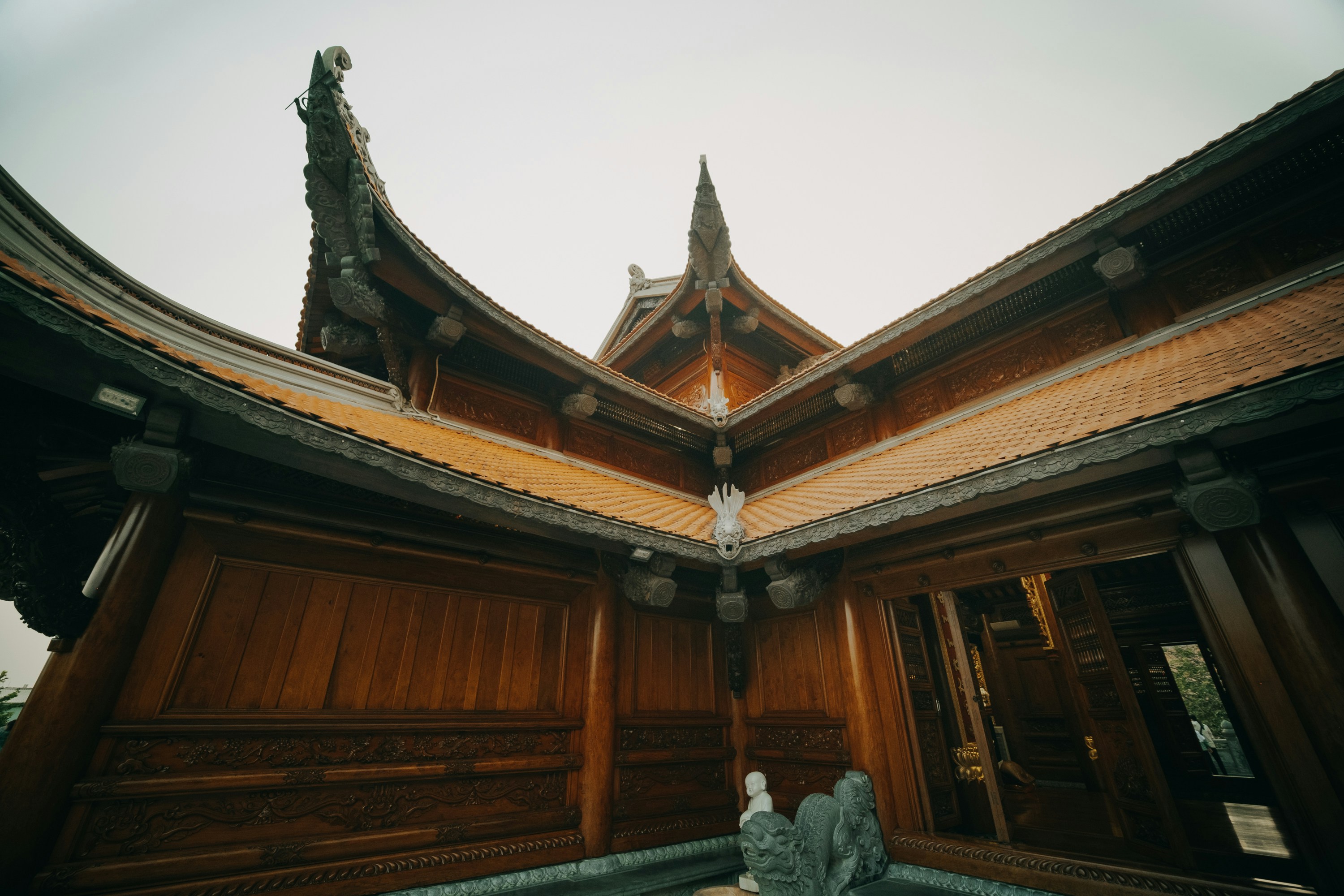 Photo by nguyentrungnguyen
