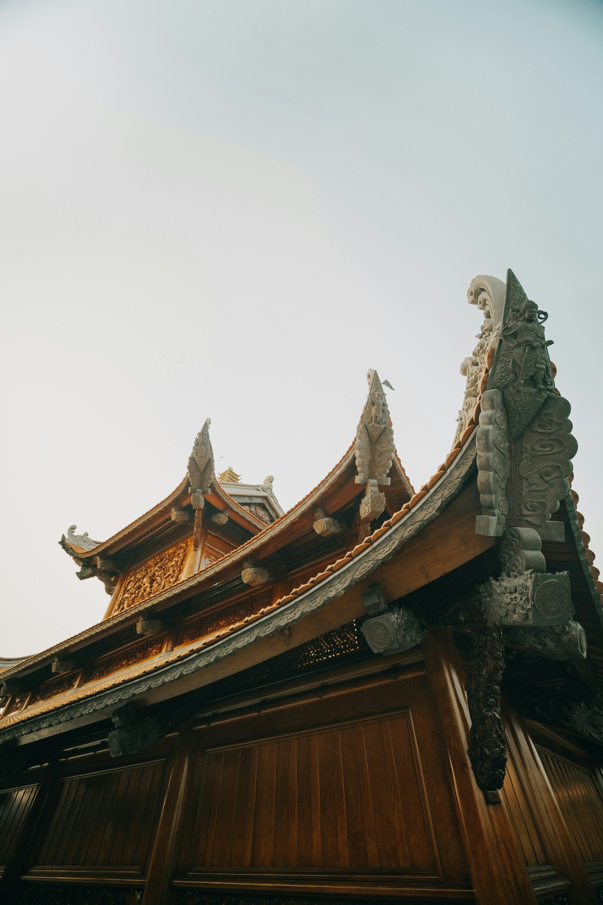 Photo by nguyentrungnguyen