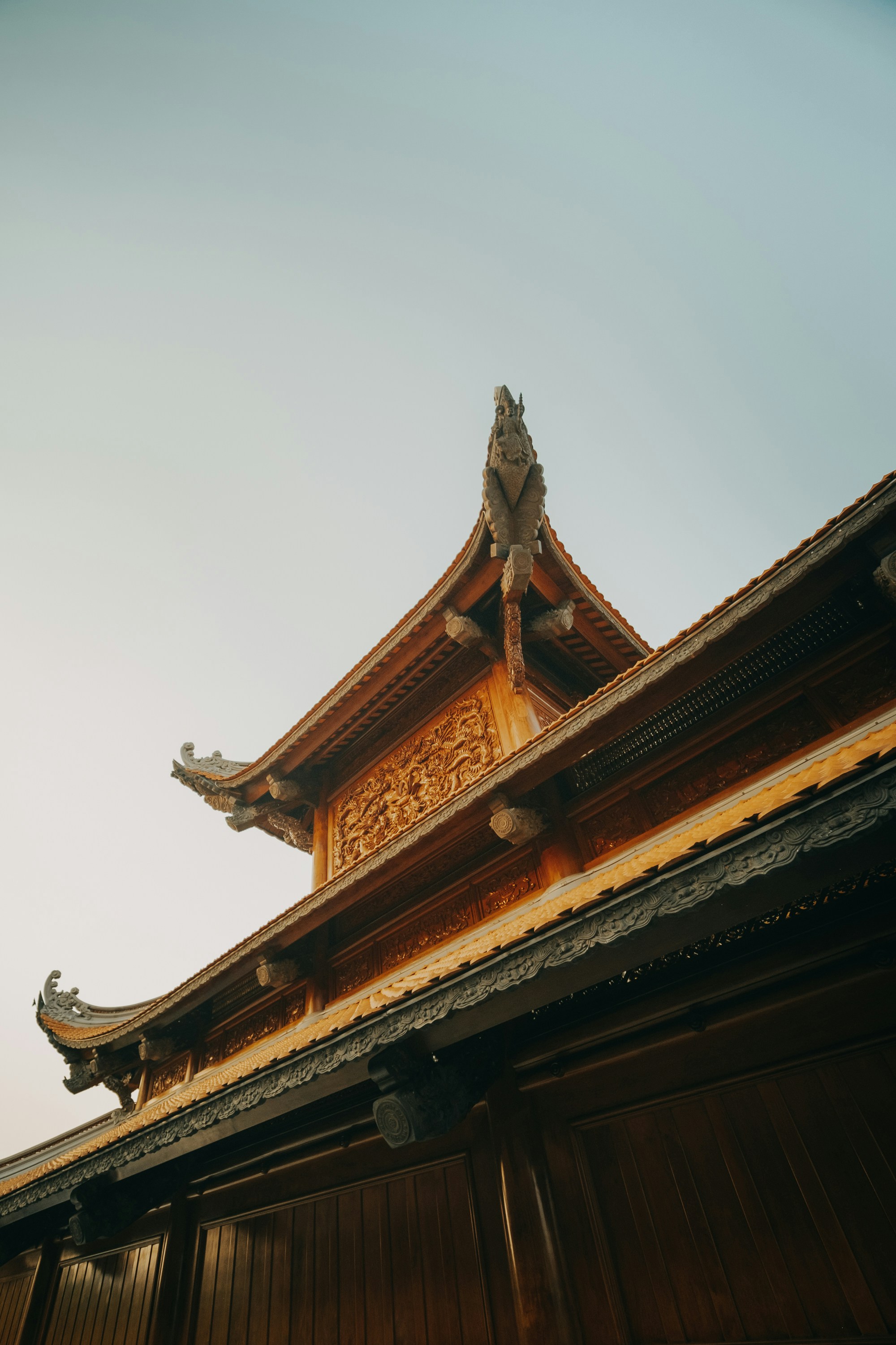 Photo by nguyentrungnguyen