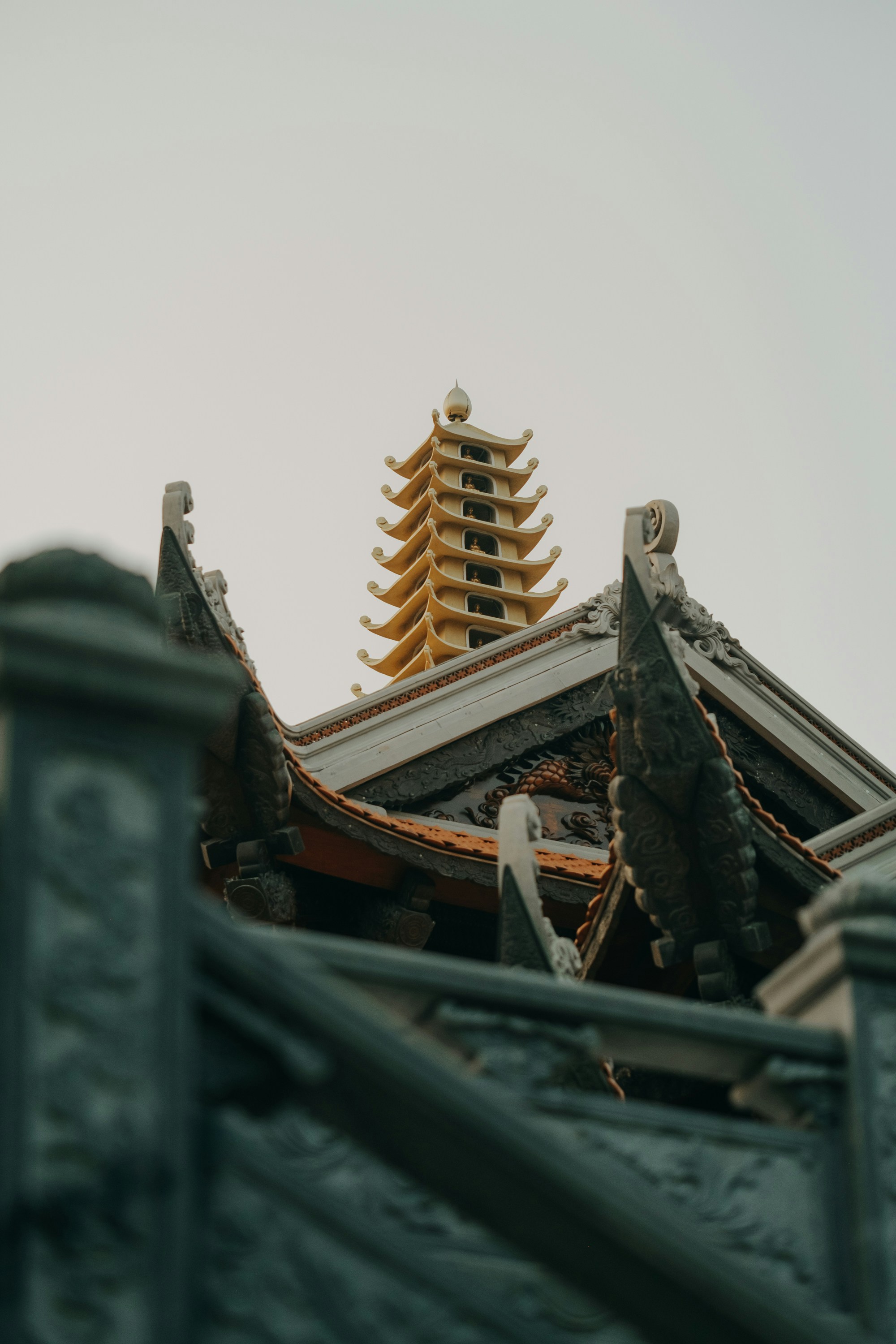 Photo by nguyentrungnguyen