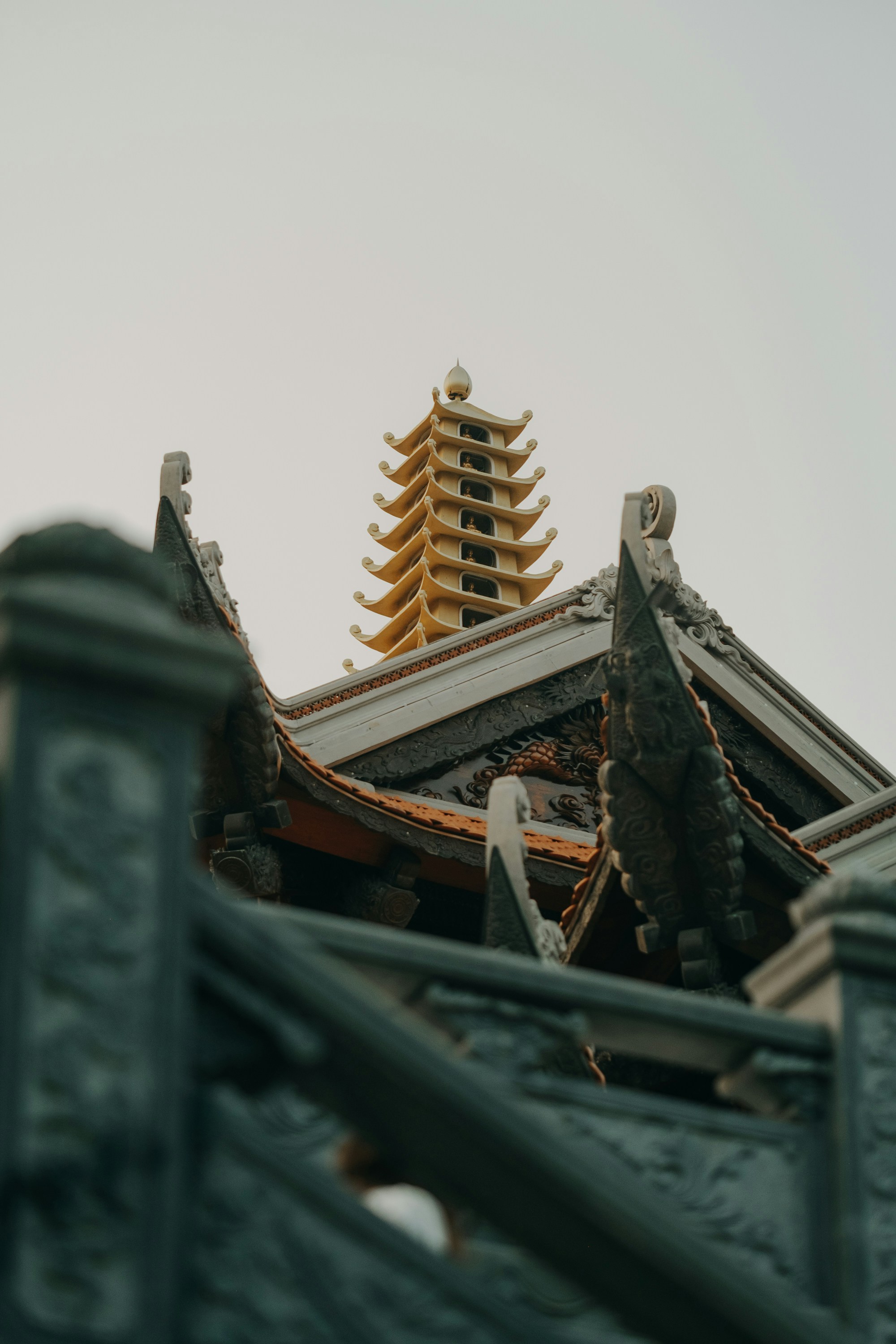 Photo by nguyentrungnguyen