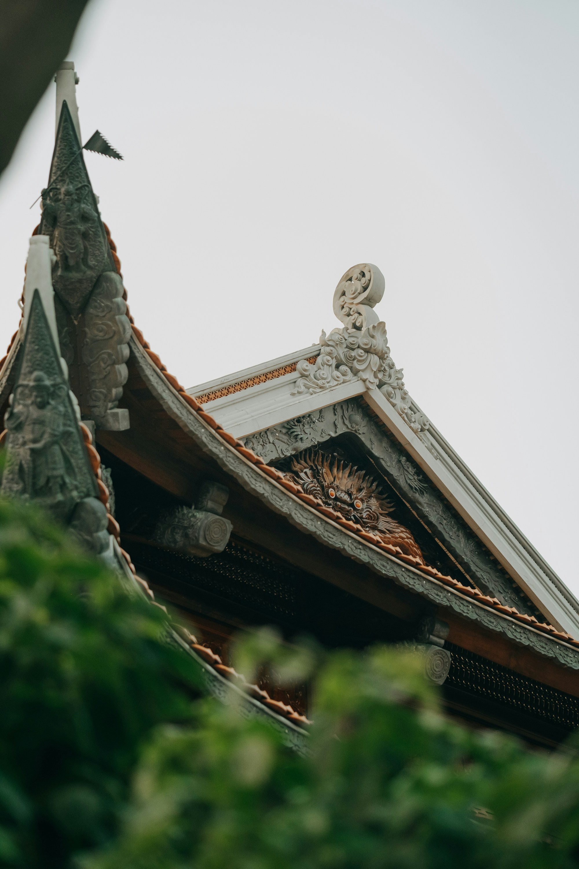 Photo by nguyentrungnguyen