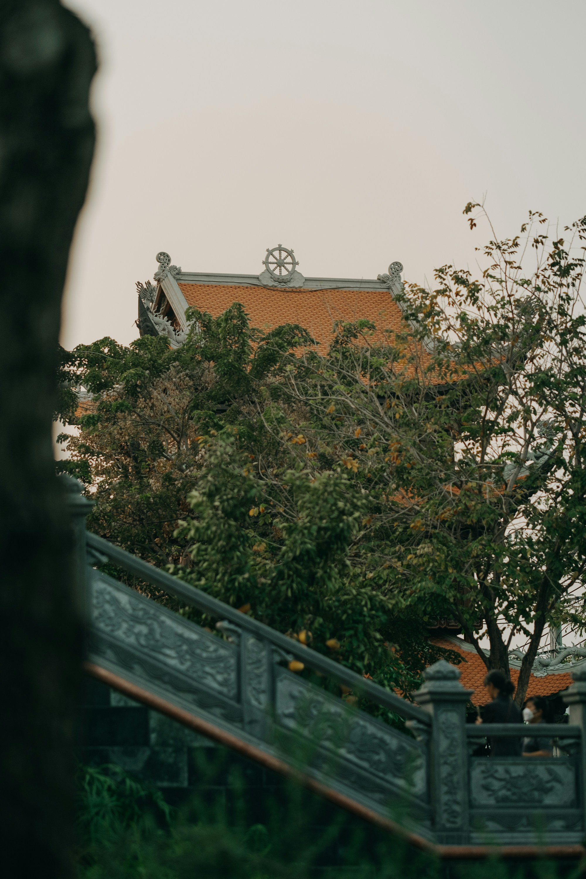 Photo by nguyentrungnguyen