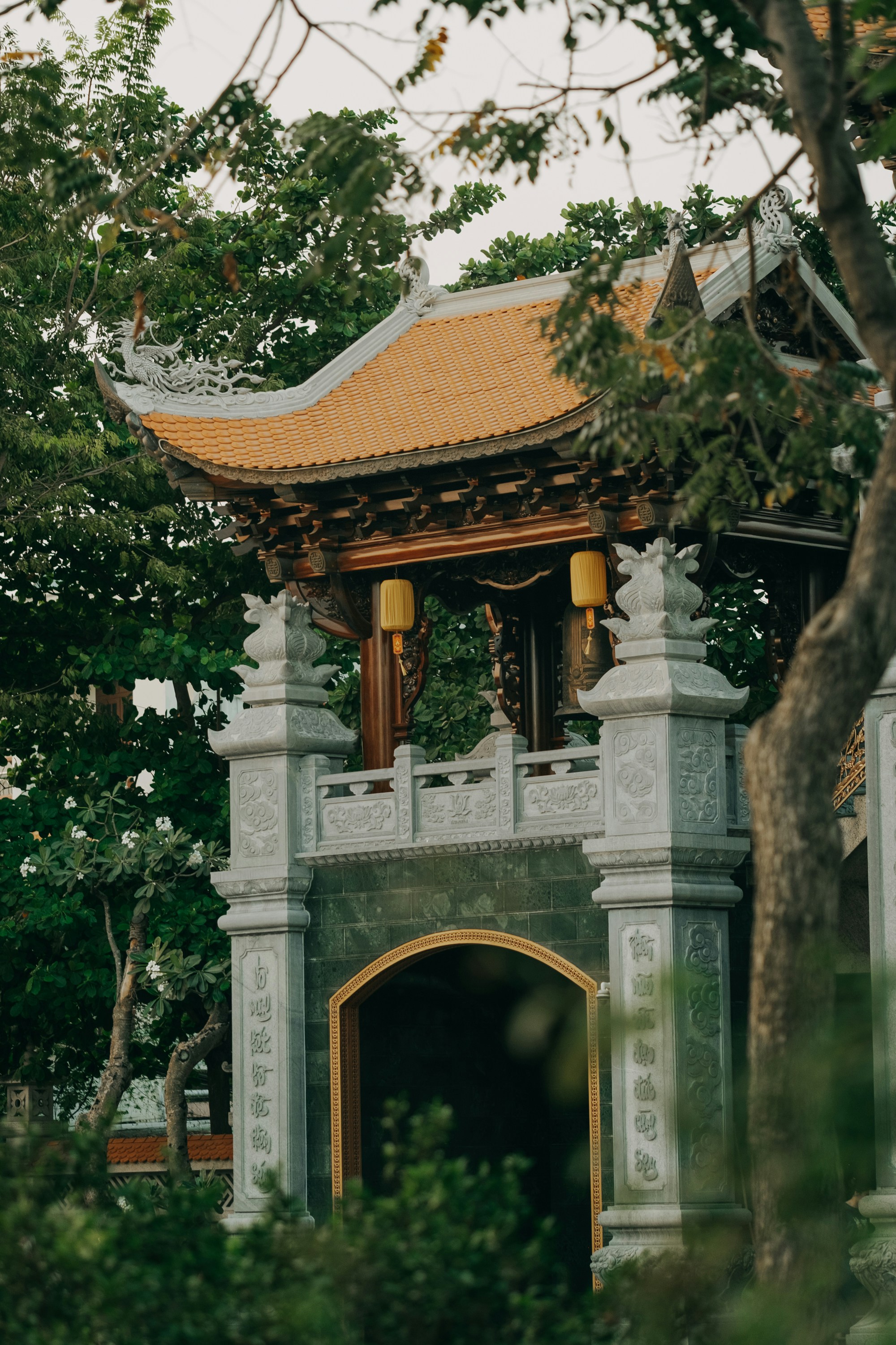 Photo by nguyentrungnguyen