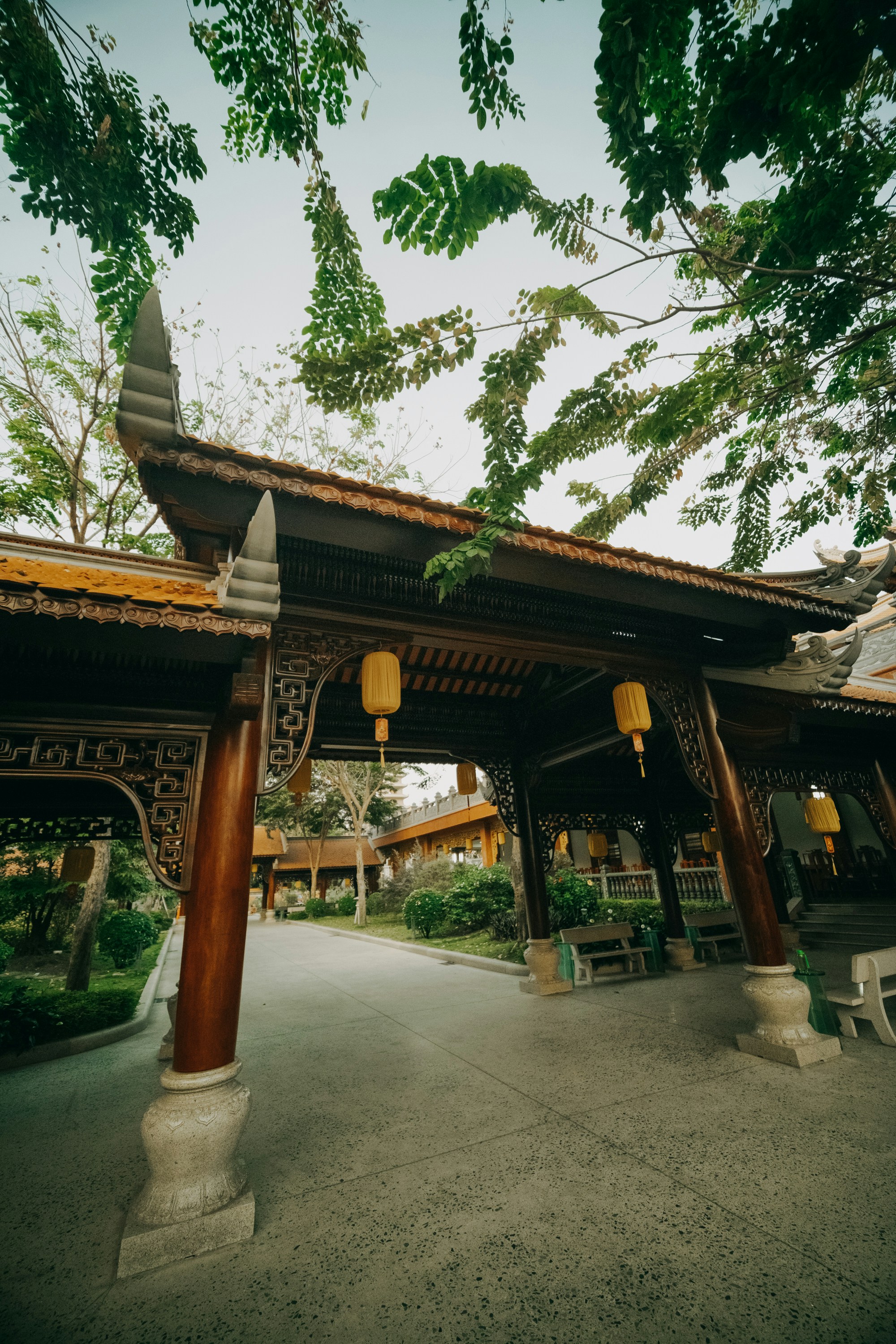 Photo by nguyentrungnguyen