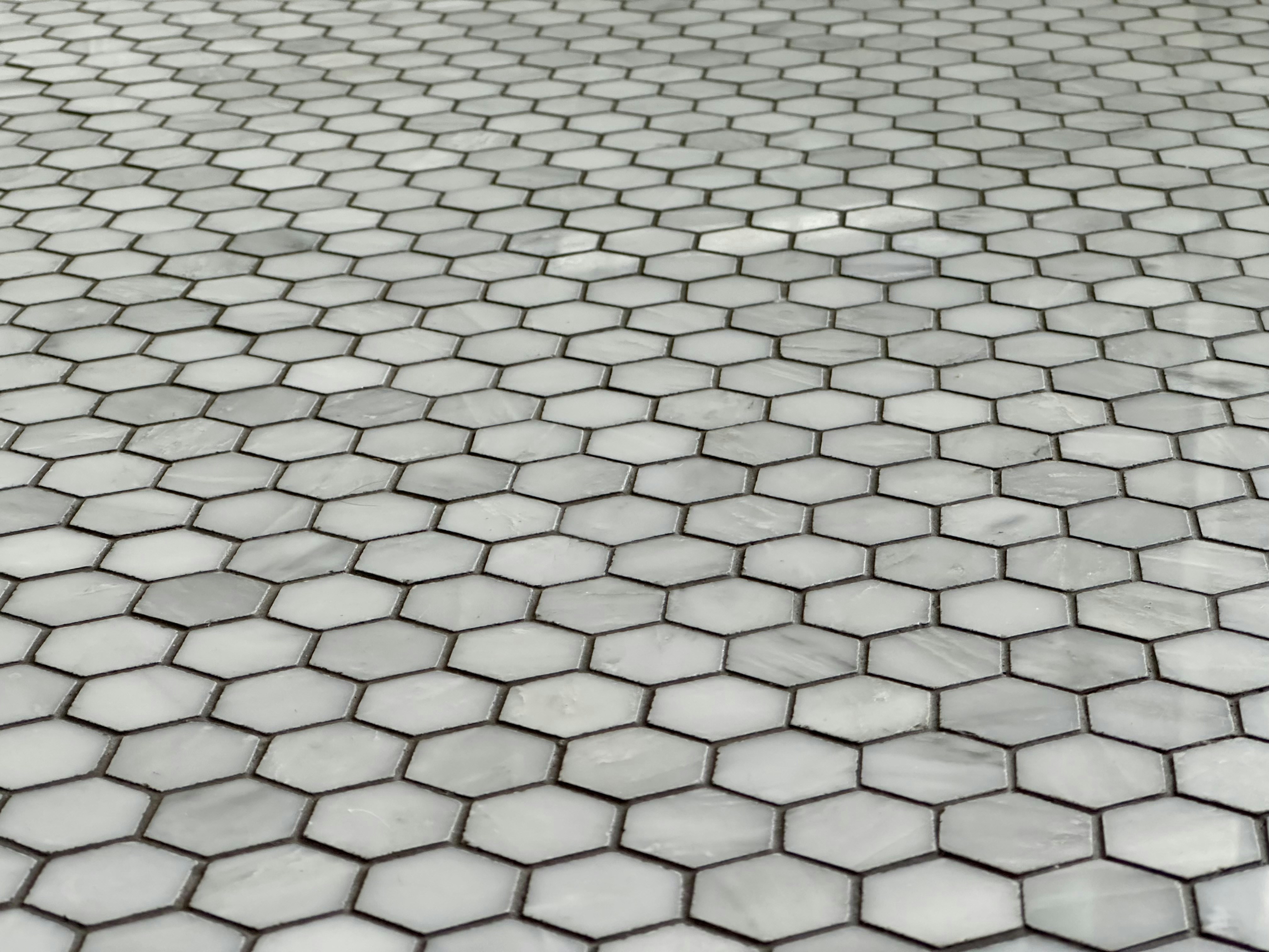 White marble honeycomb hex floor tiles.