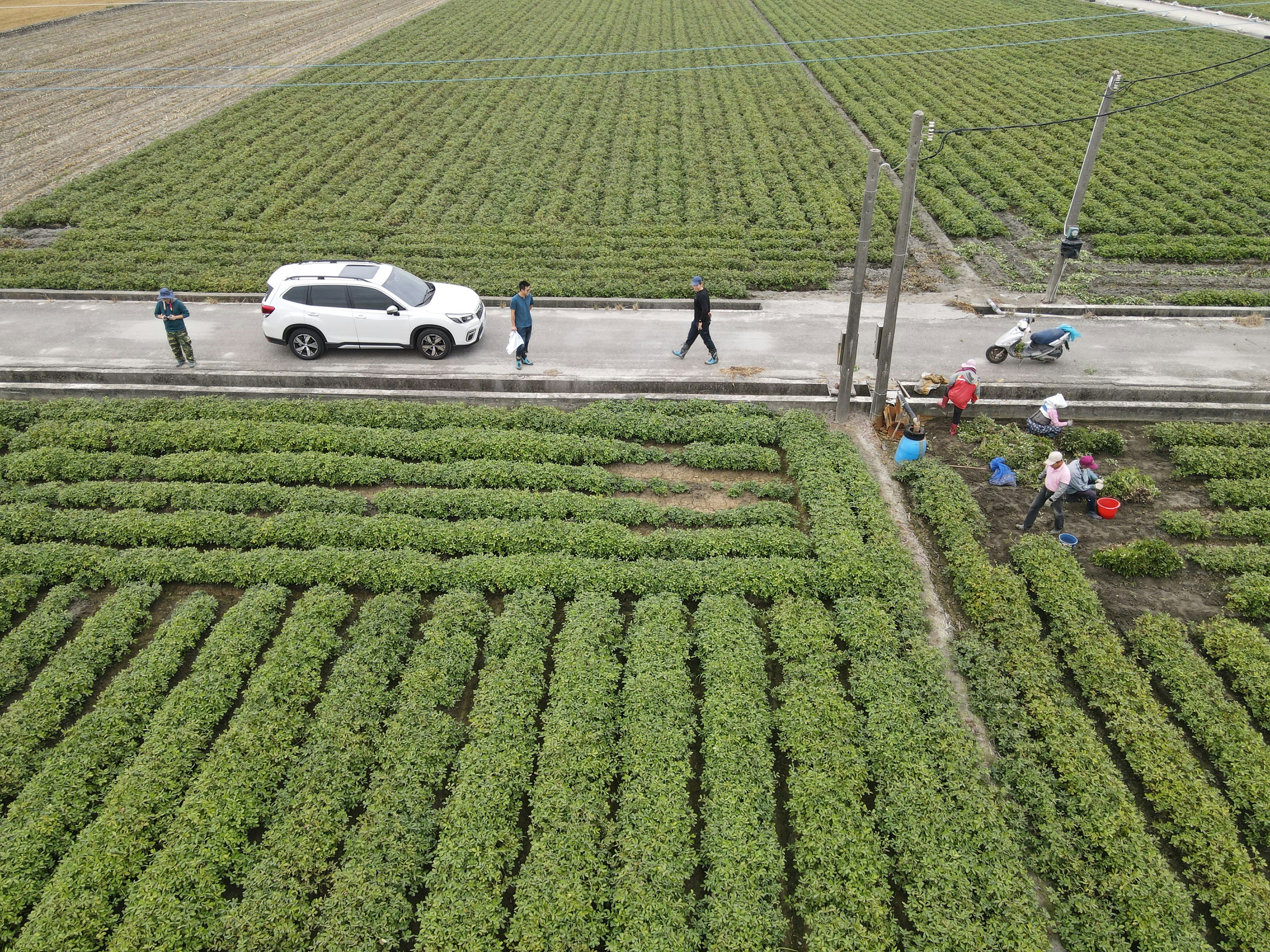 a group of people walking across a field next to a white car