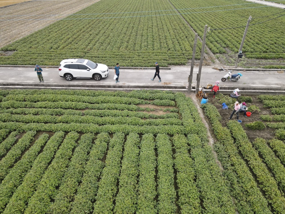 a group of people walking across a field next to a white car