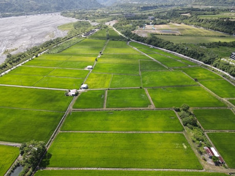 an aerial view of a large green field