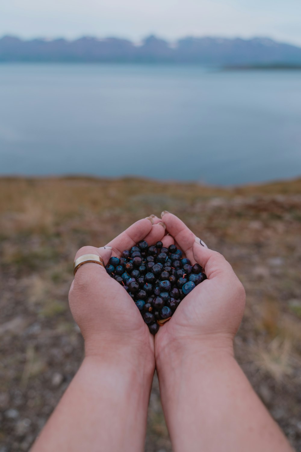 a person holding a handful of berries in their hands