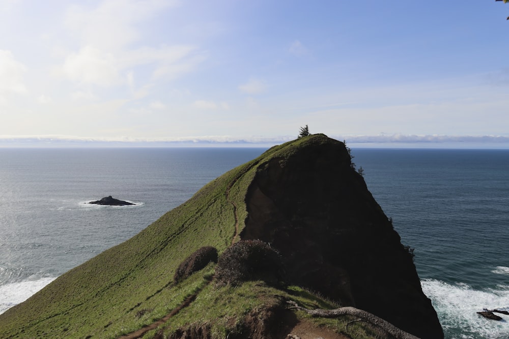 a person standing on top of a green hill next to the ocean