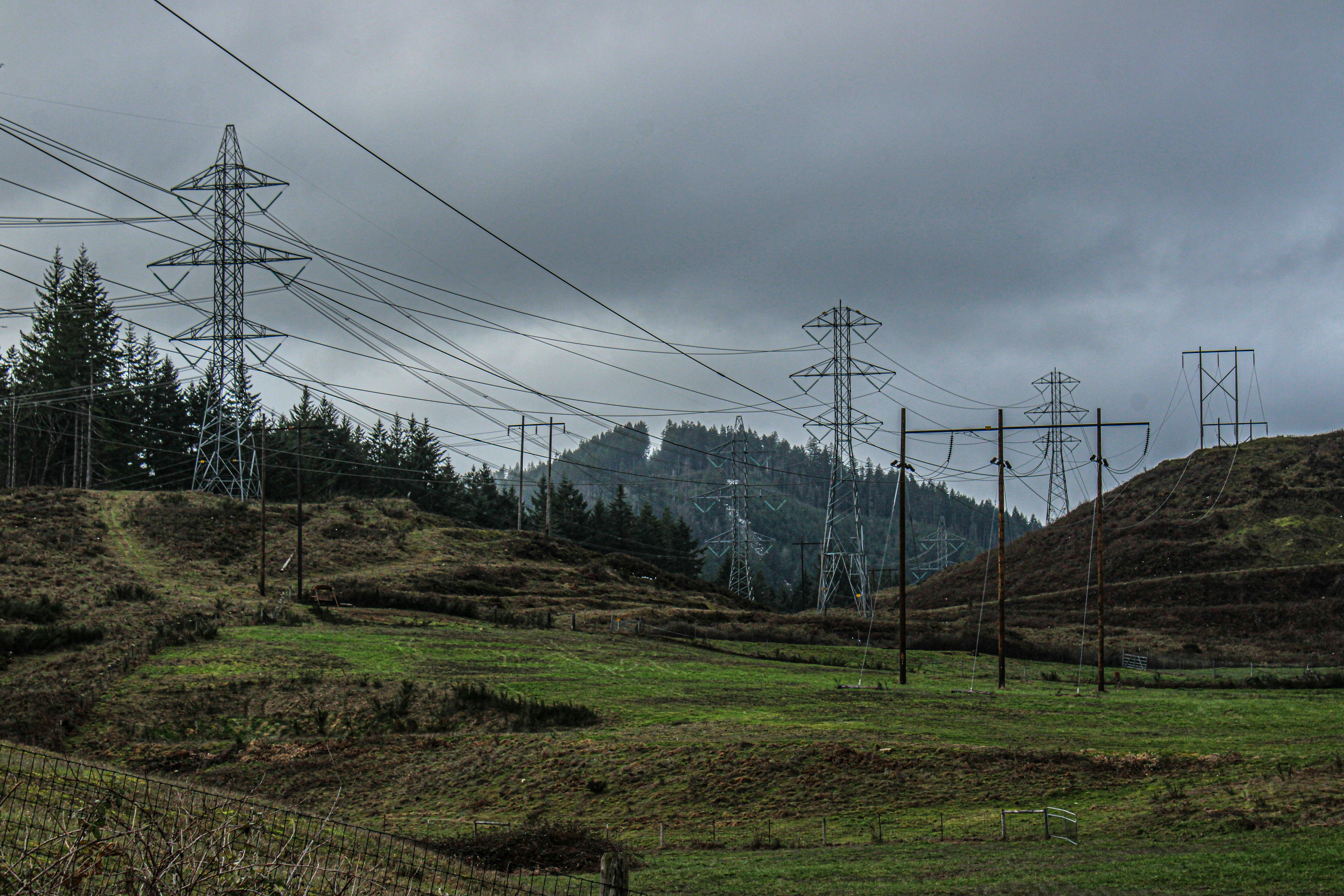 PacifiCorp Credit Downgrade Raises Bankruptcy Concerns Amid Wildfire Lawsuits