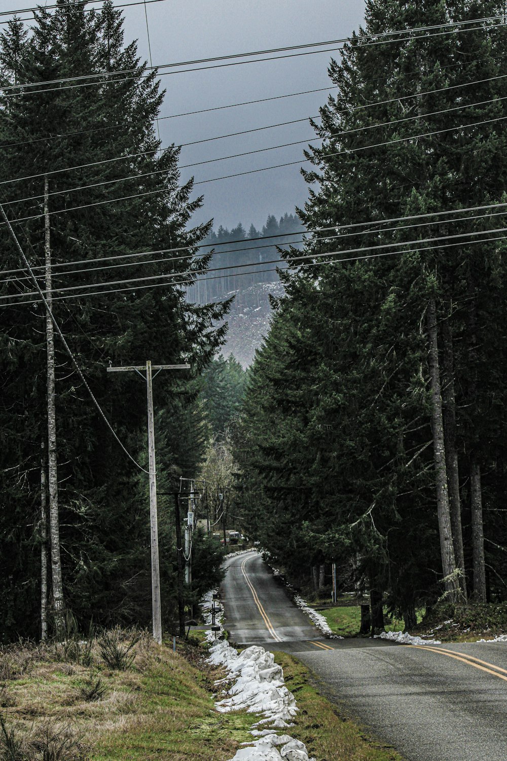 an empty road surrounded by trees and power lines