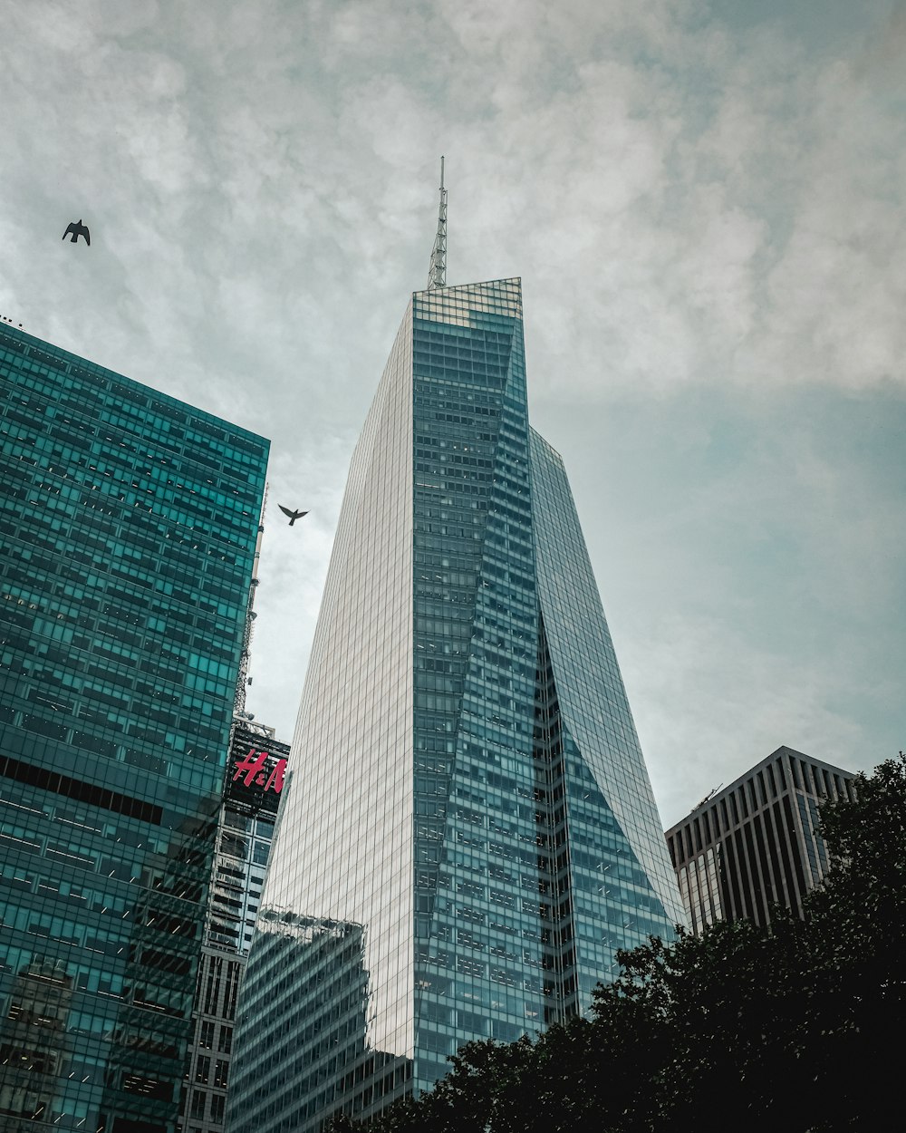 a group of tall buildings in a city