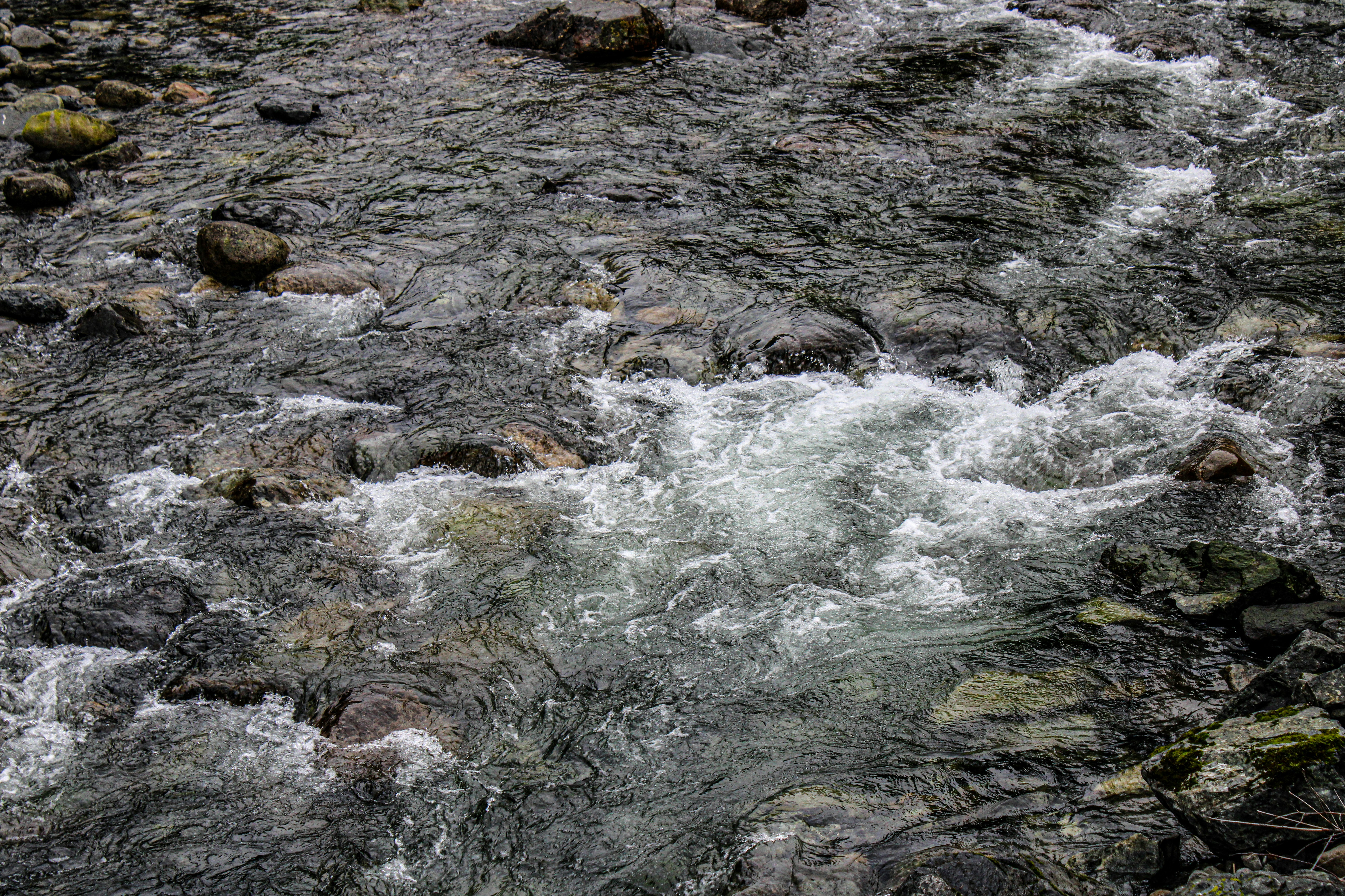 Photo by prphotography262