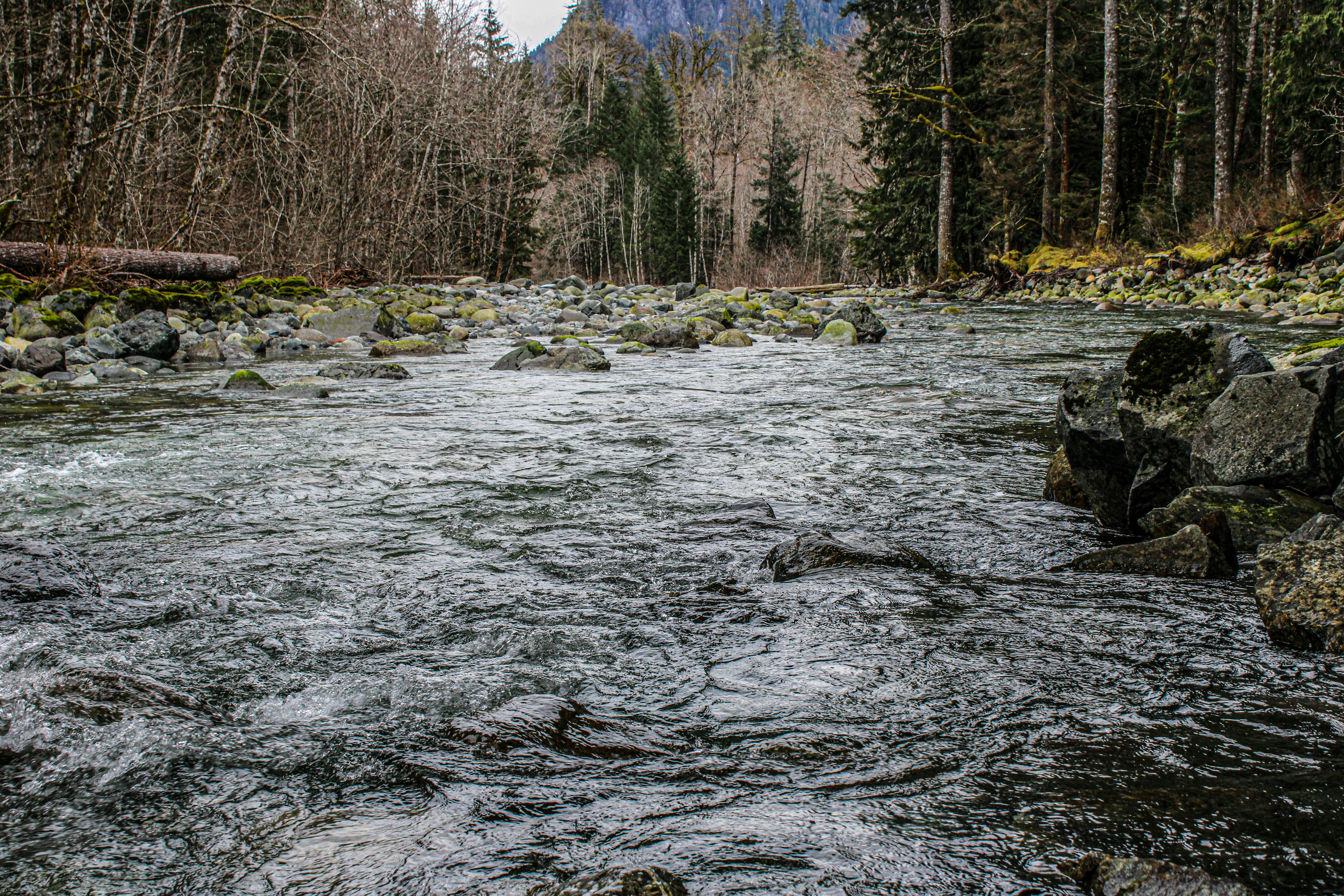 Photo by prphotography262