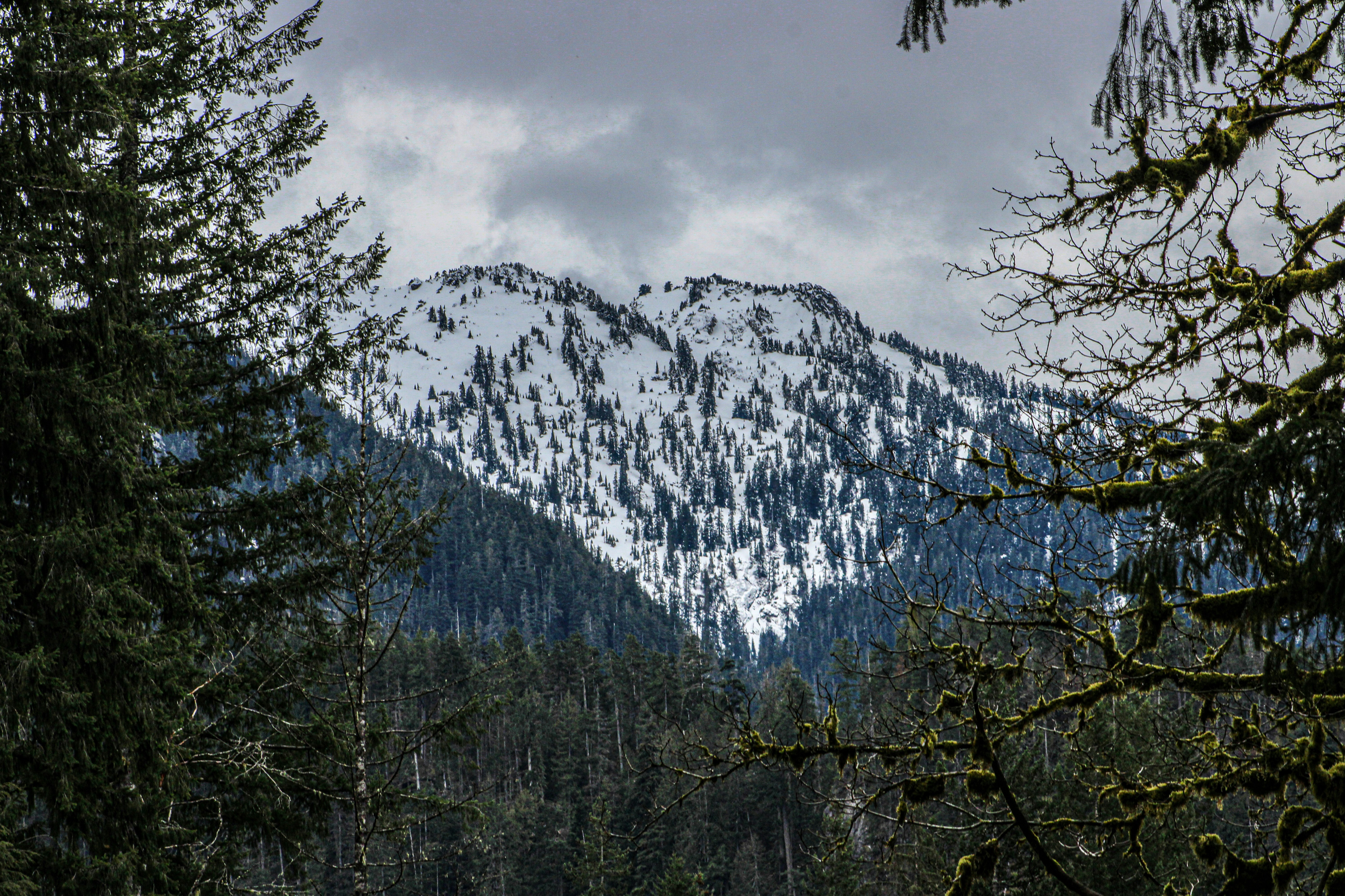 Photo by prphotography262