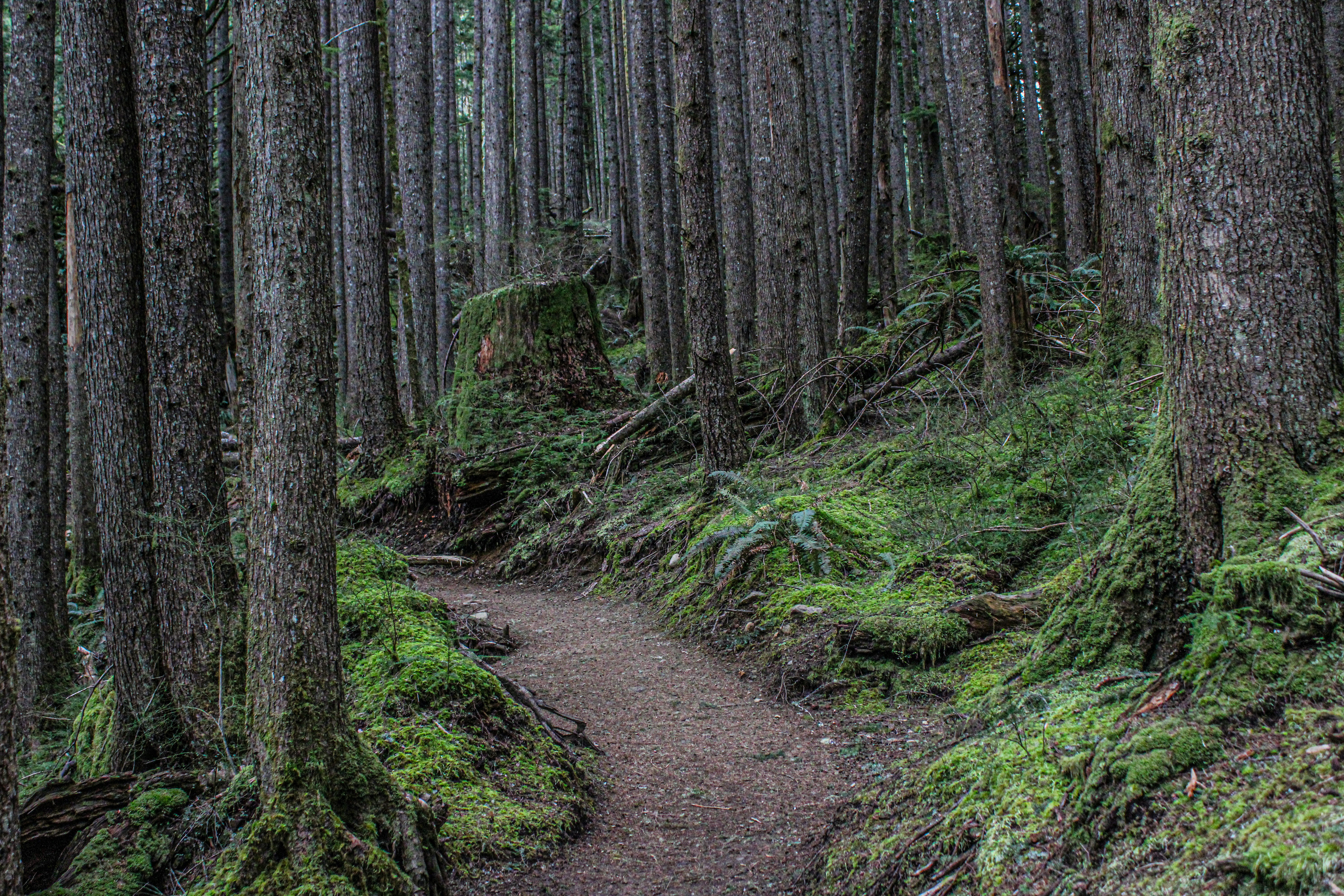 Photo by prphotography262