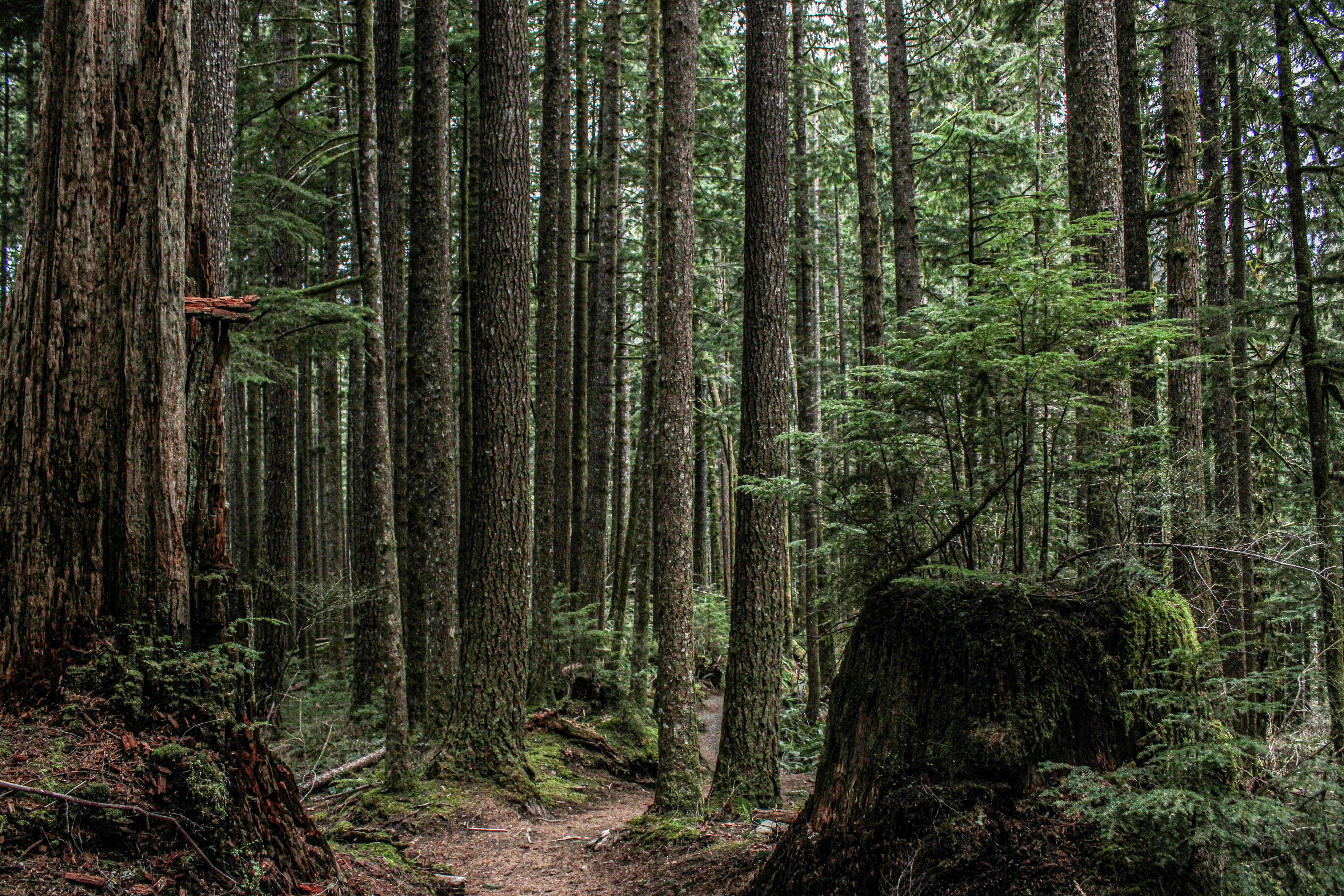 Photo by prphotography262