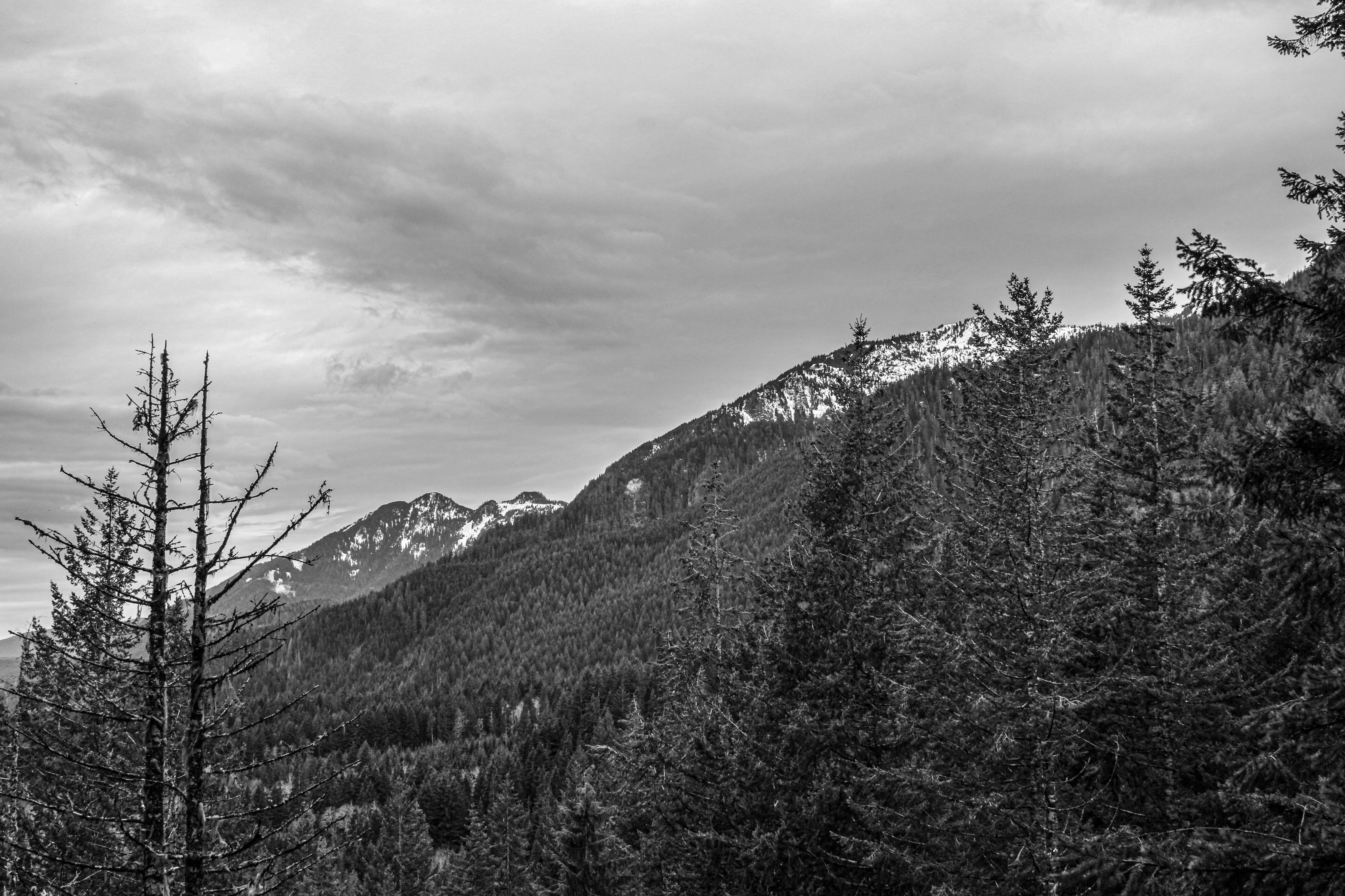 Photo by prphotography262