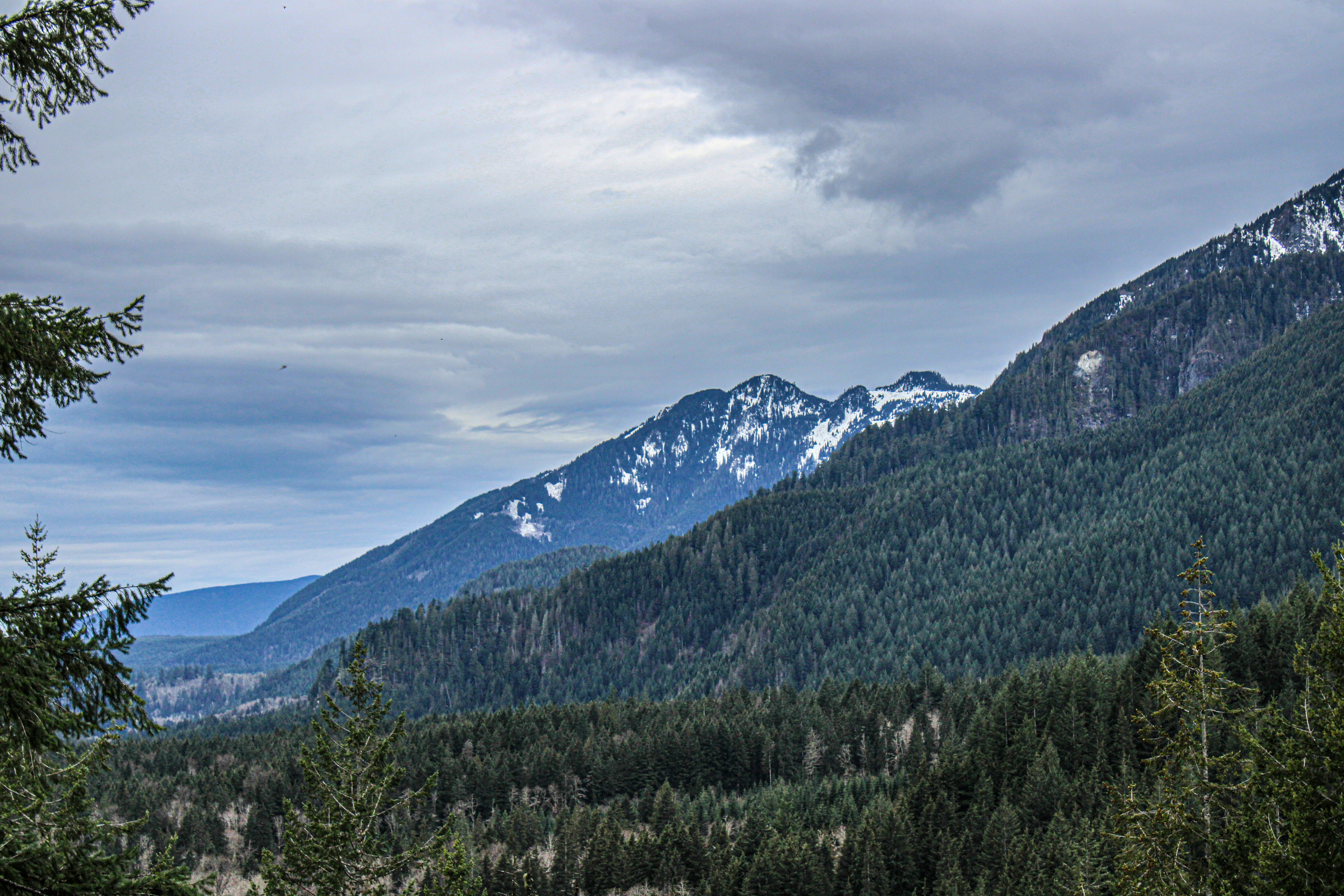 Photo by prphotography262